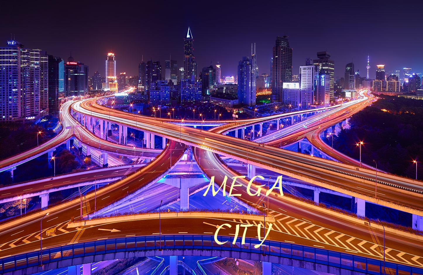 Mega City