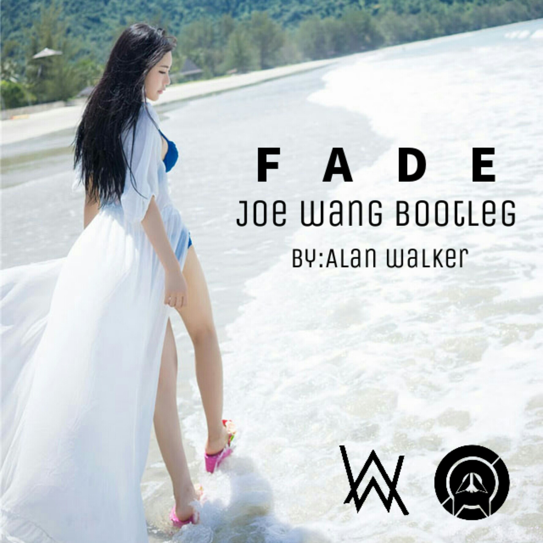 Fade Joe  wang  bootleg