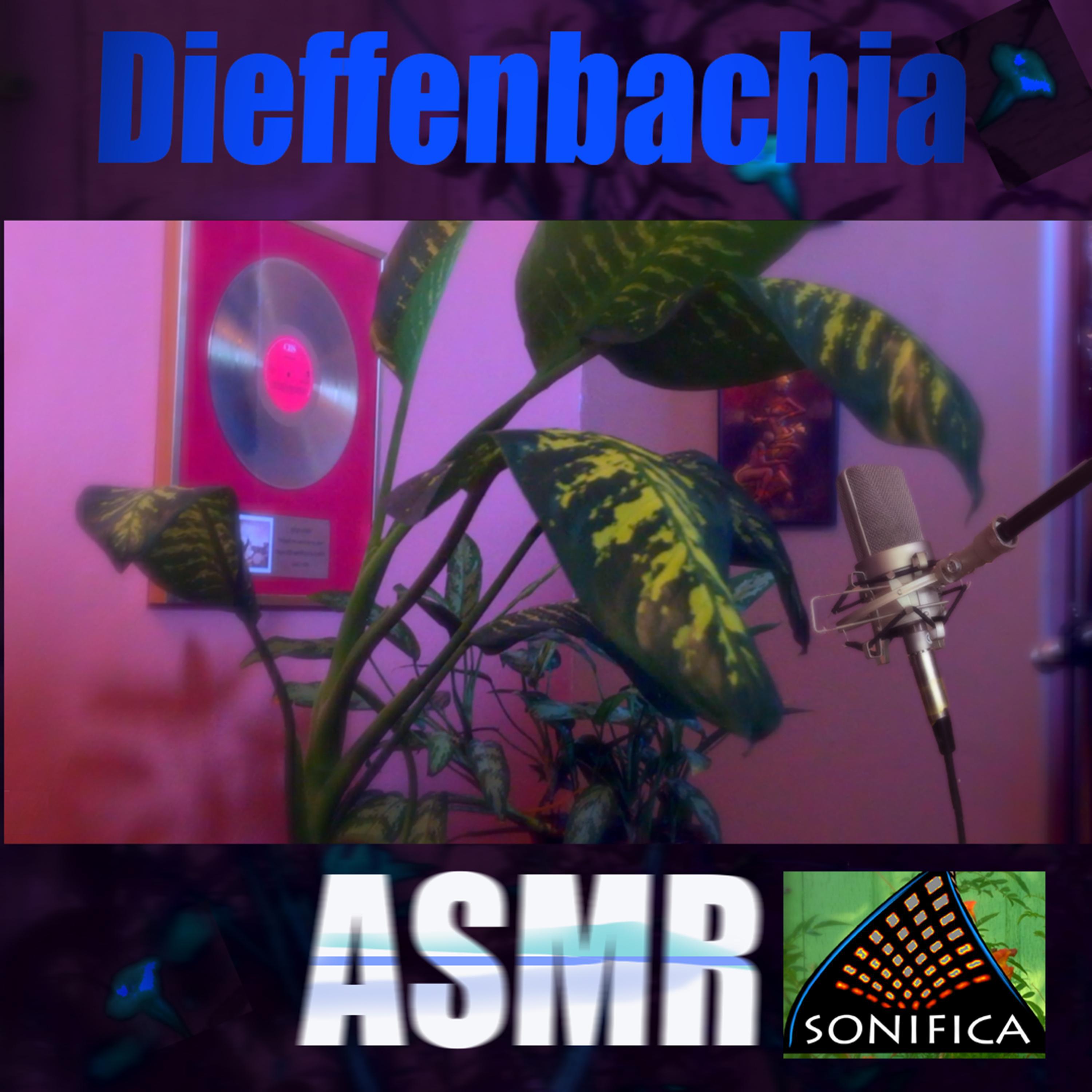 Diffenbachia Asmr