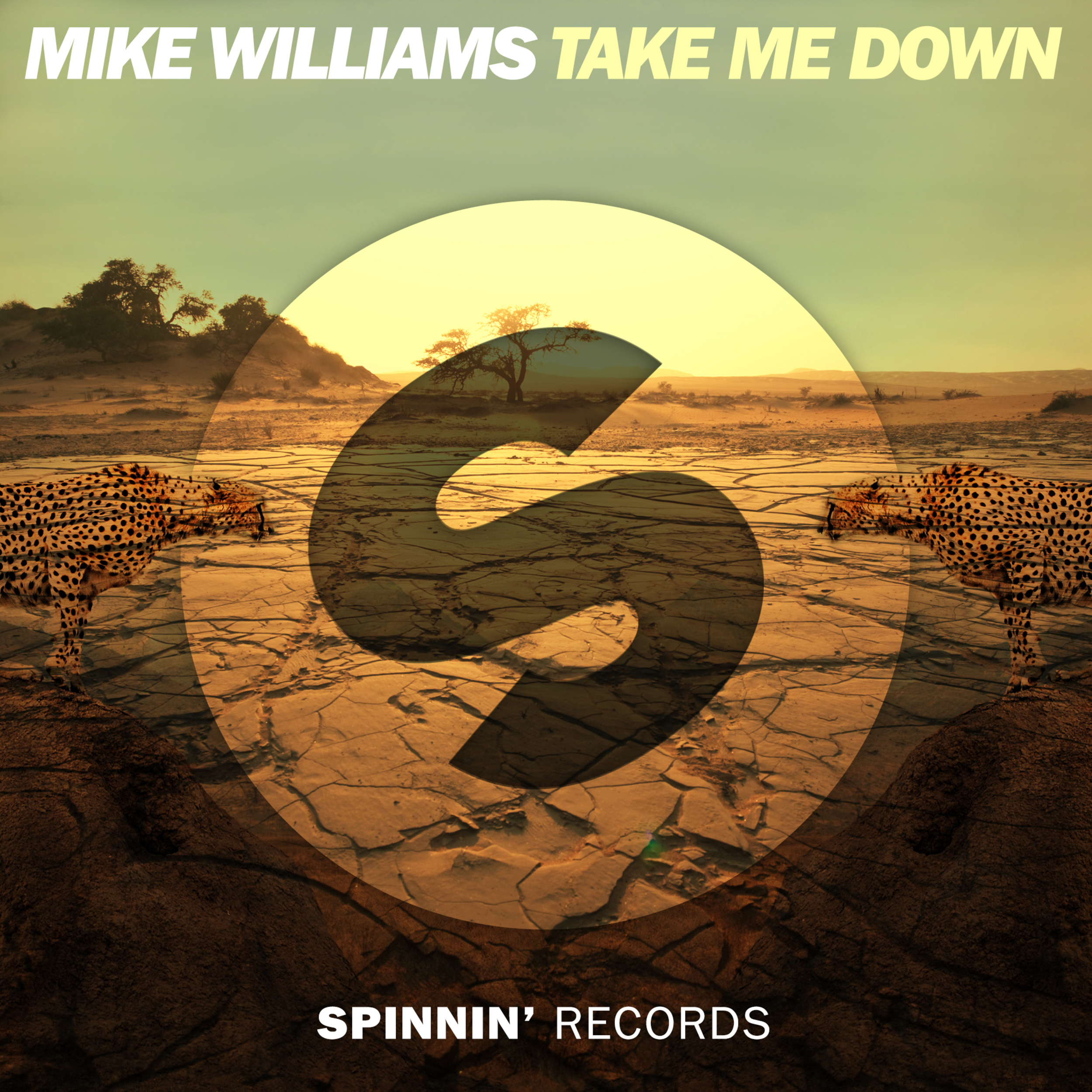 Take Me Down (Extended Mix)