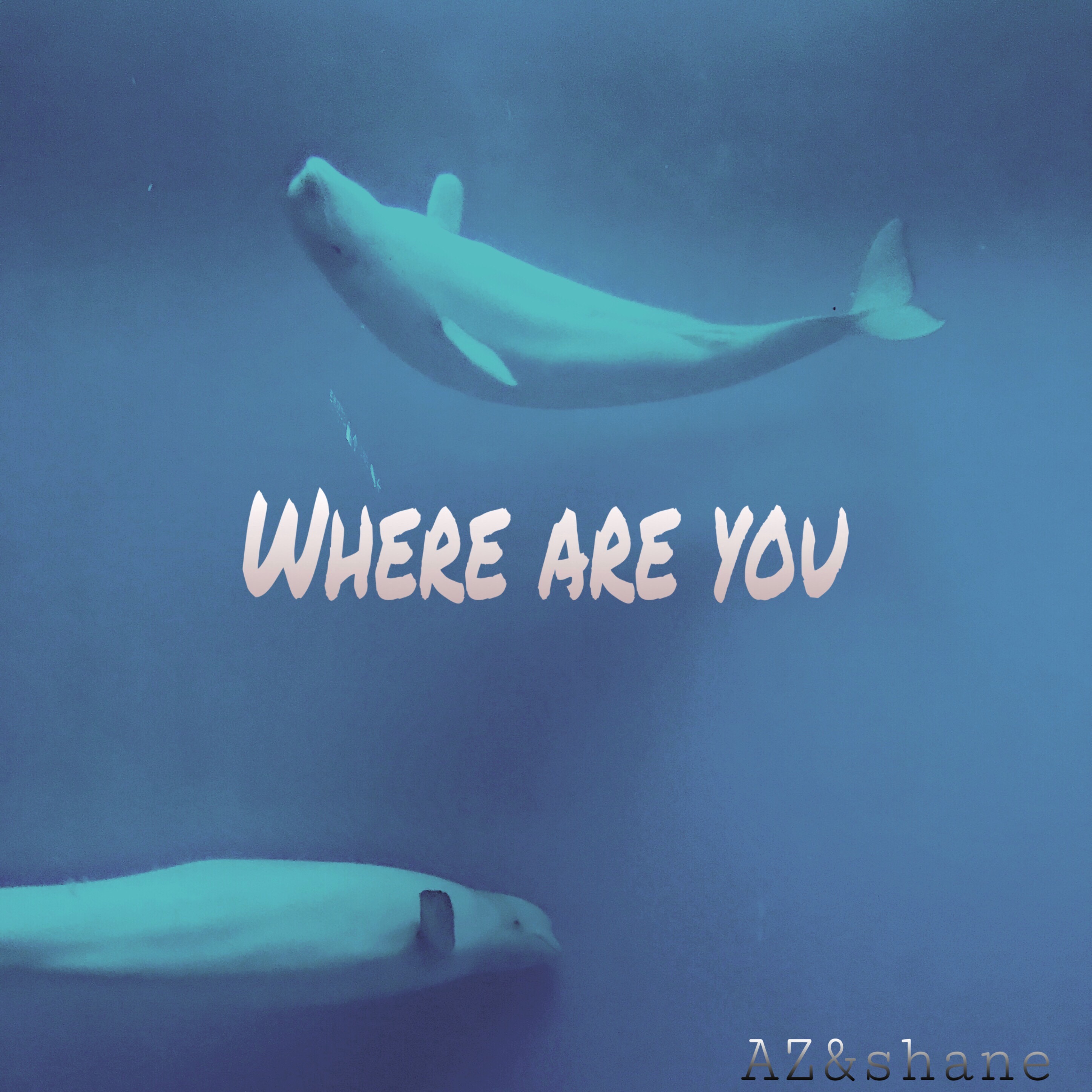 WHERE  ARE  YOU ?