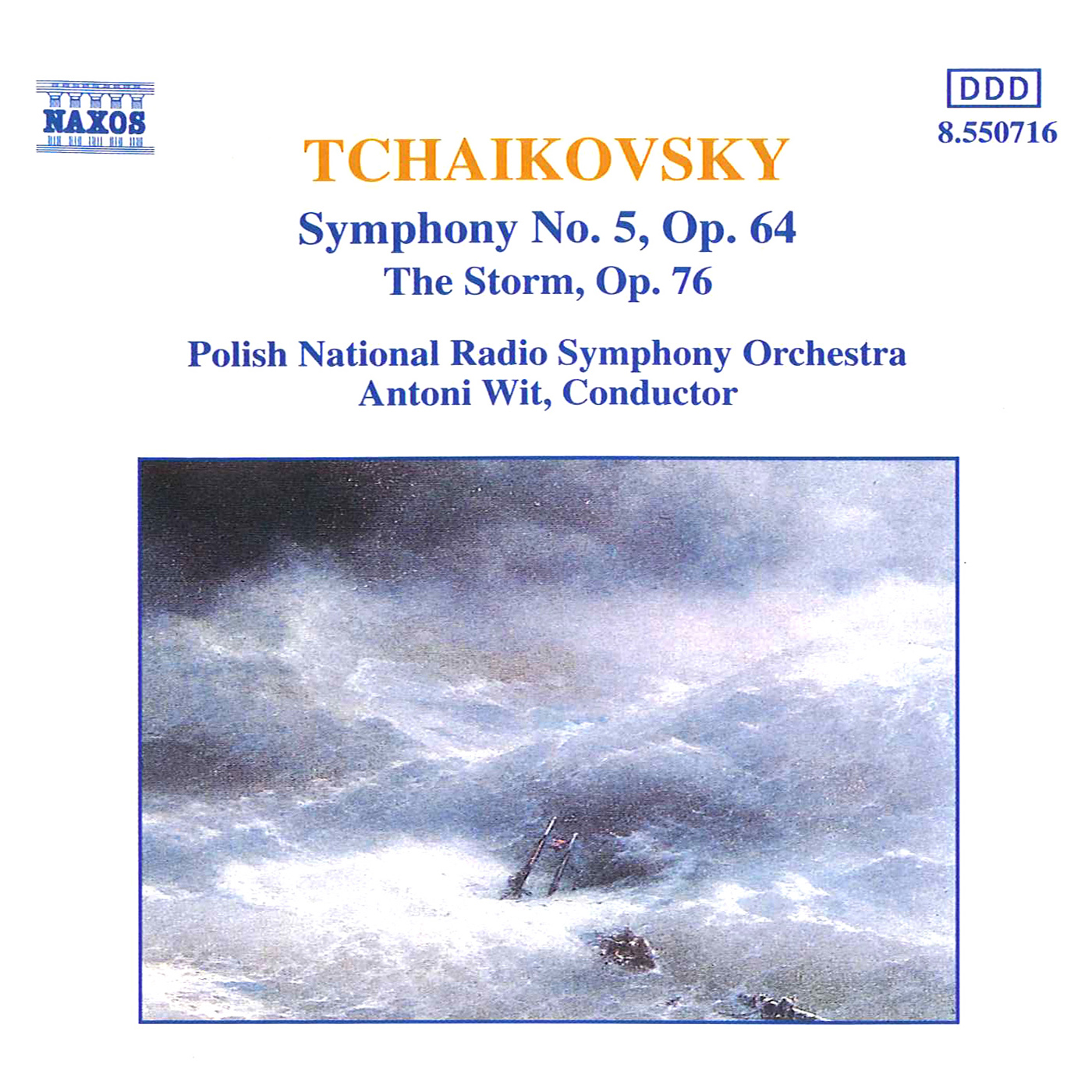 TCHAIKOVSKY, P.I.: Symphony No. 5 / The Storm (Polish National Radio Symphony, Wit)