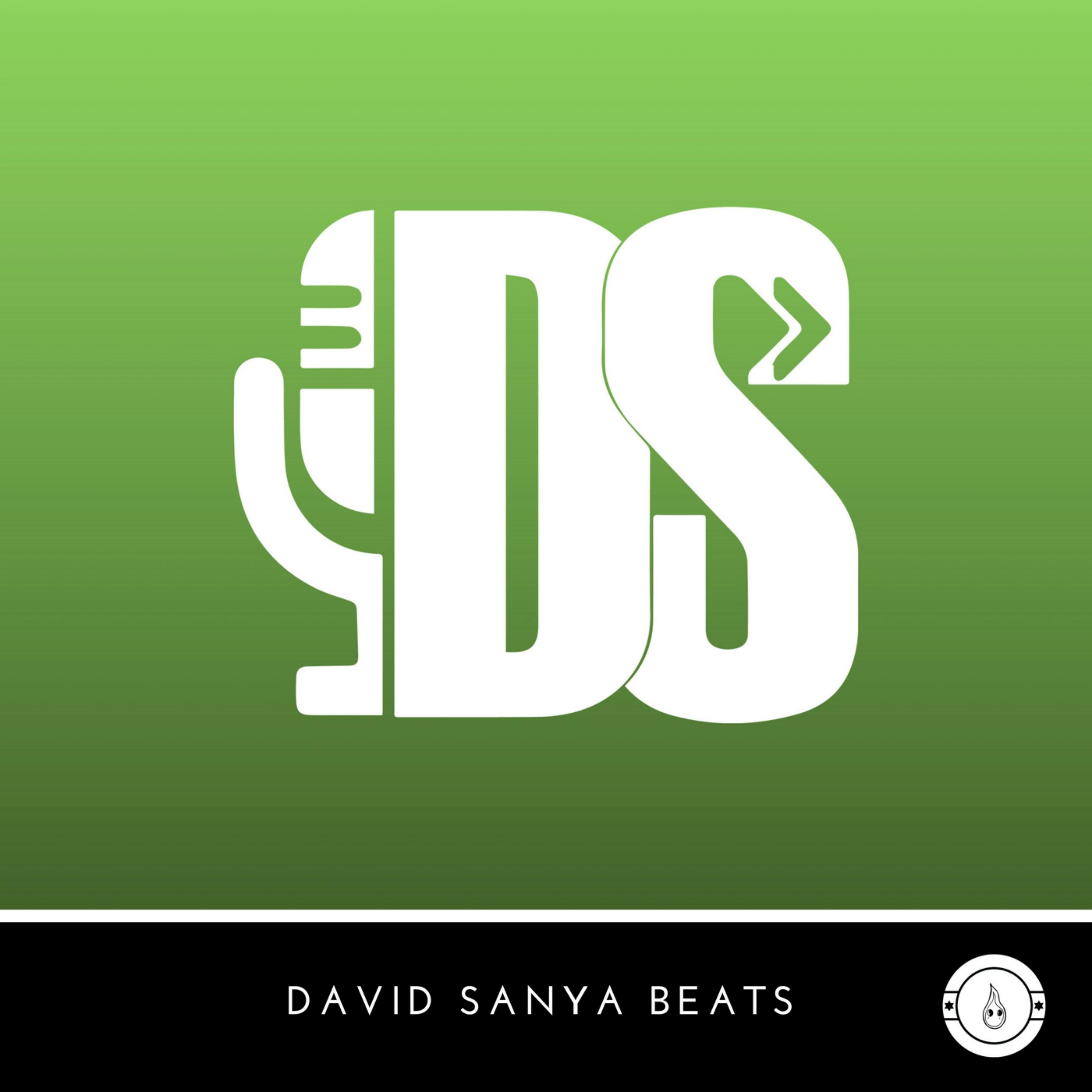 David Sanya Beats Vol. 2