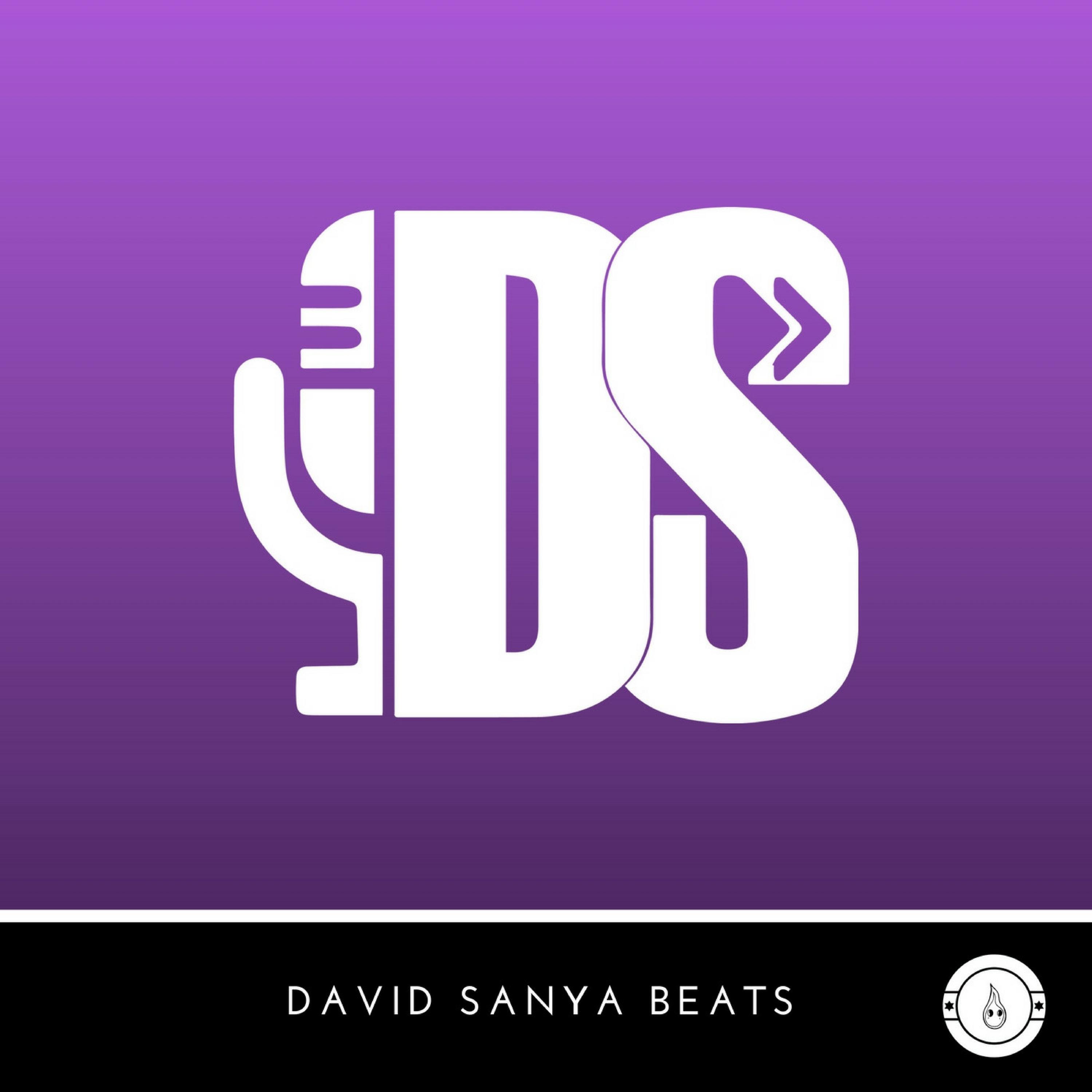 DavidSanyaBeats.com Vol. 4