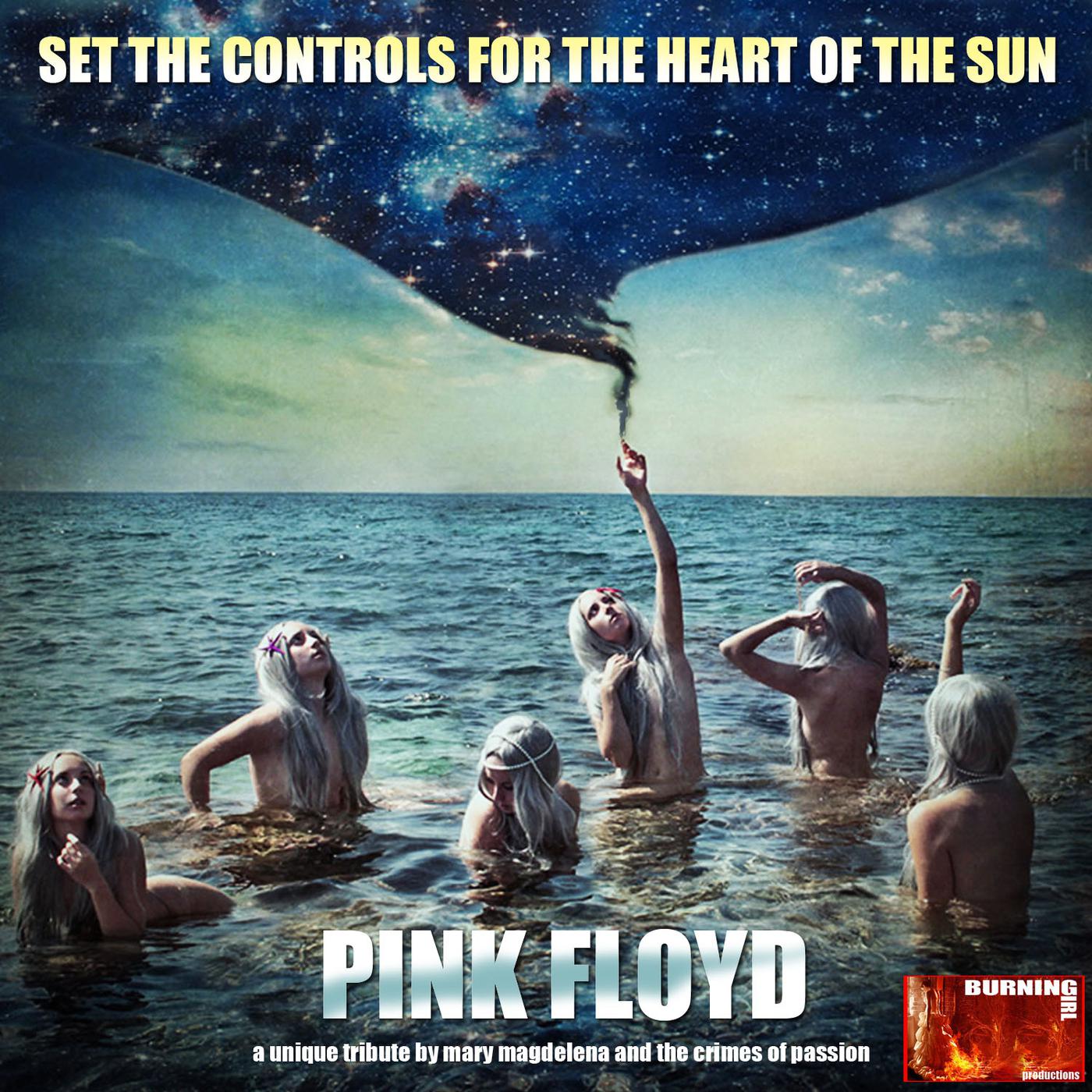 Set the Controls  A Unique Tribute to Pink Floyd