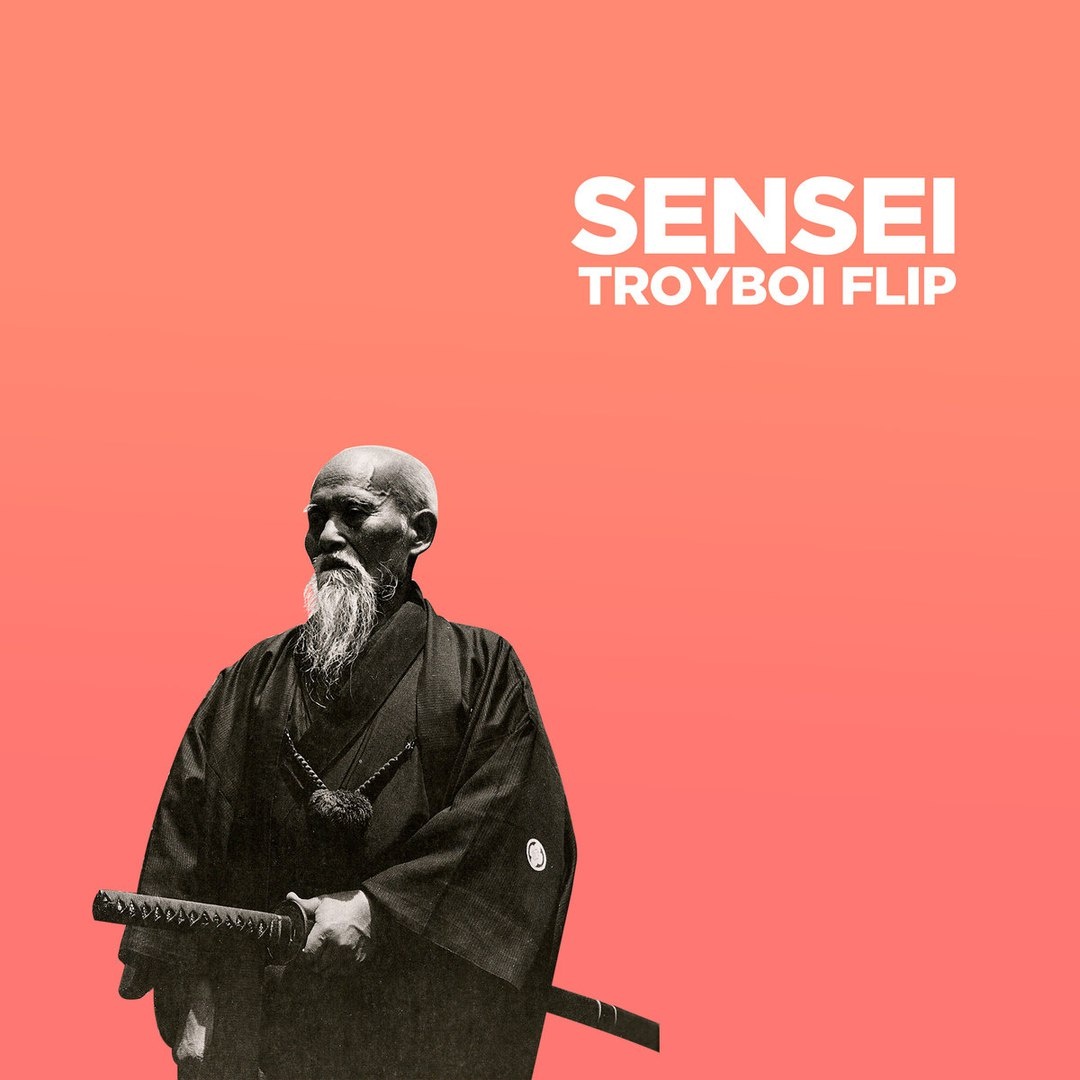 Sensei (TroyBoi Flip)