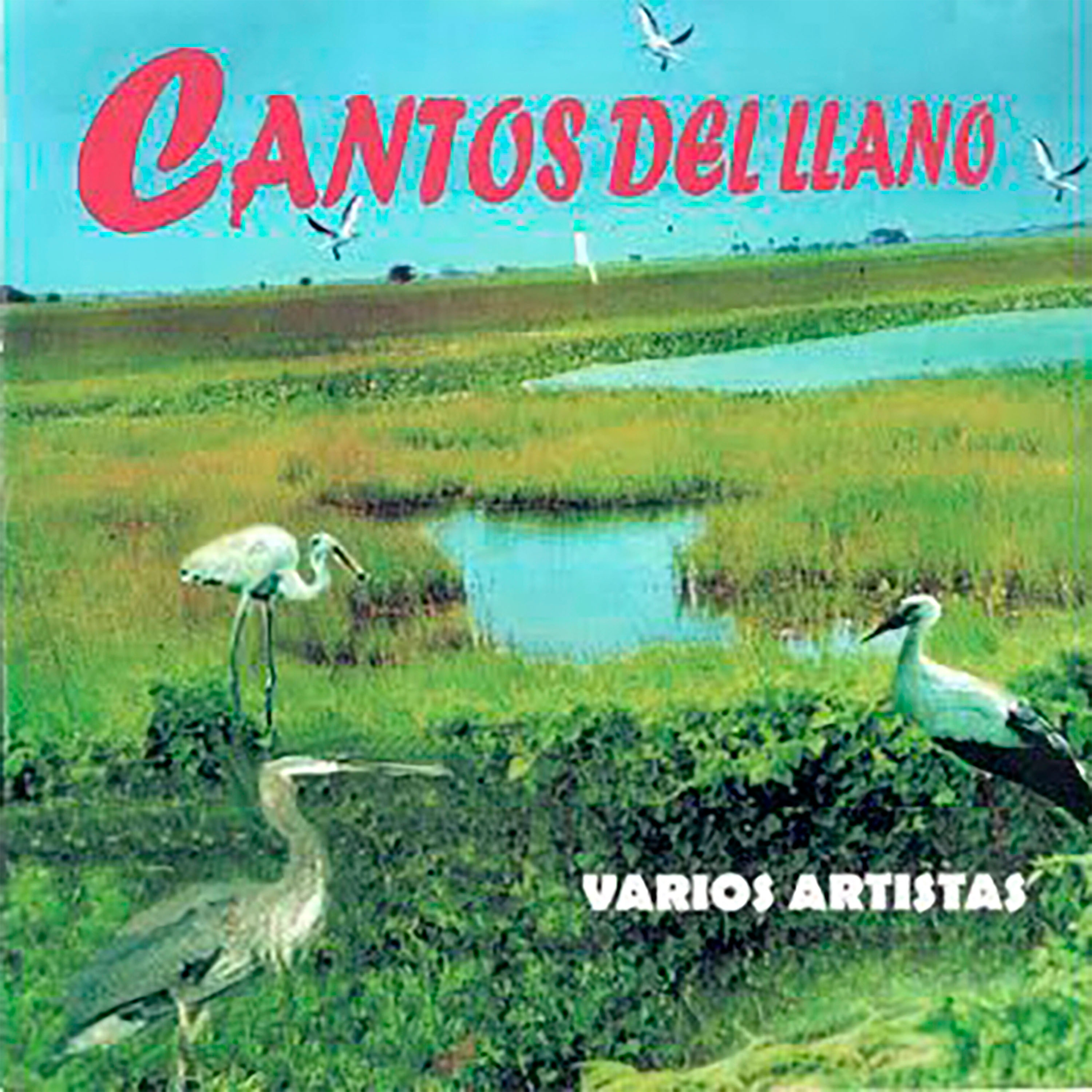 Cantos Del Llano