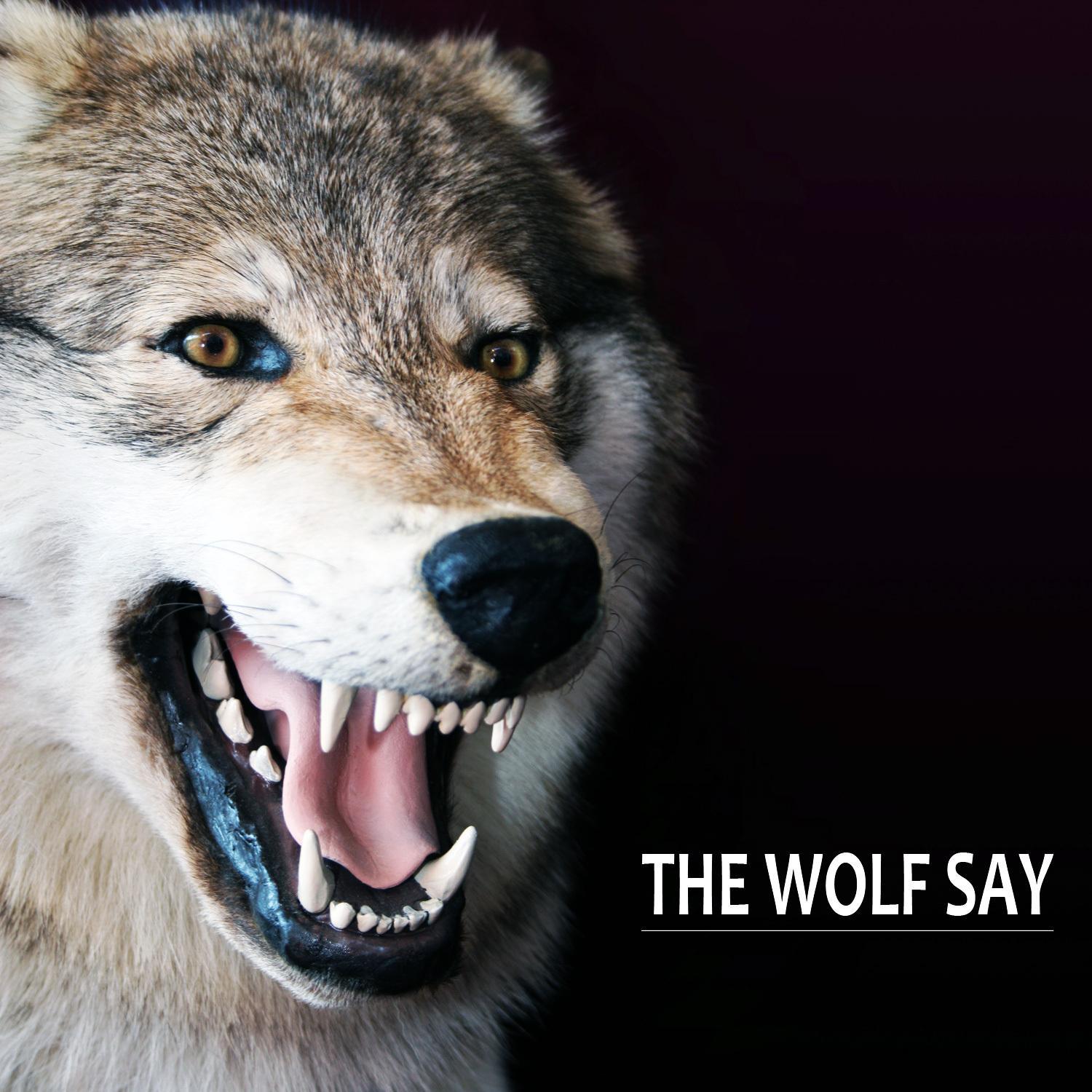 The Wolf Say