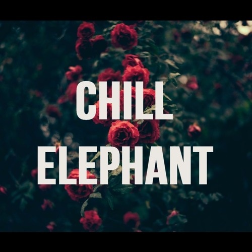Chill Elephant