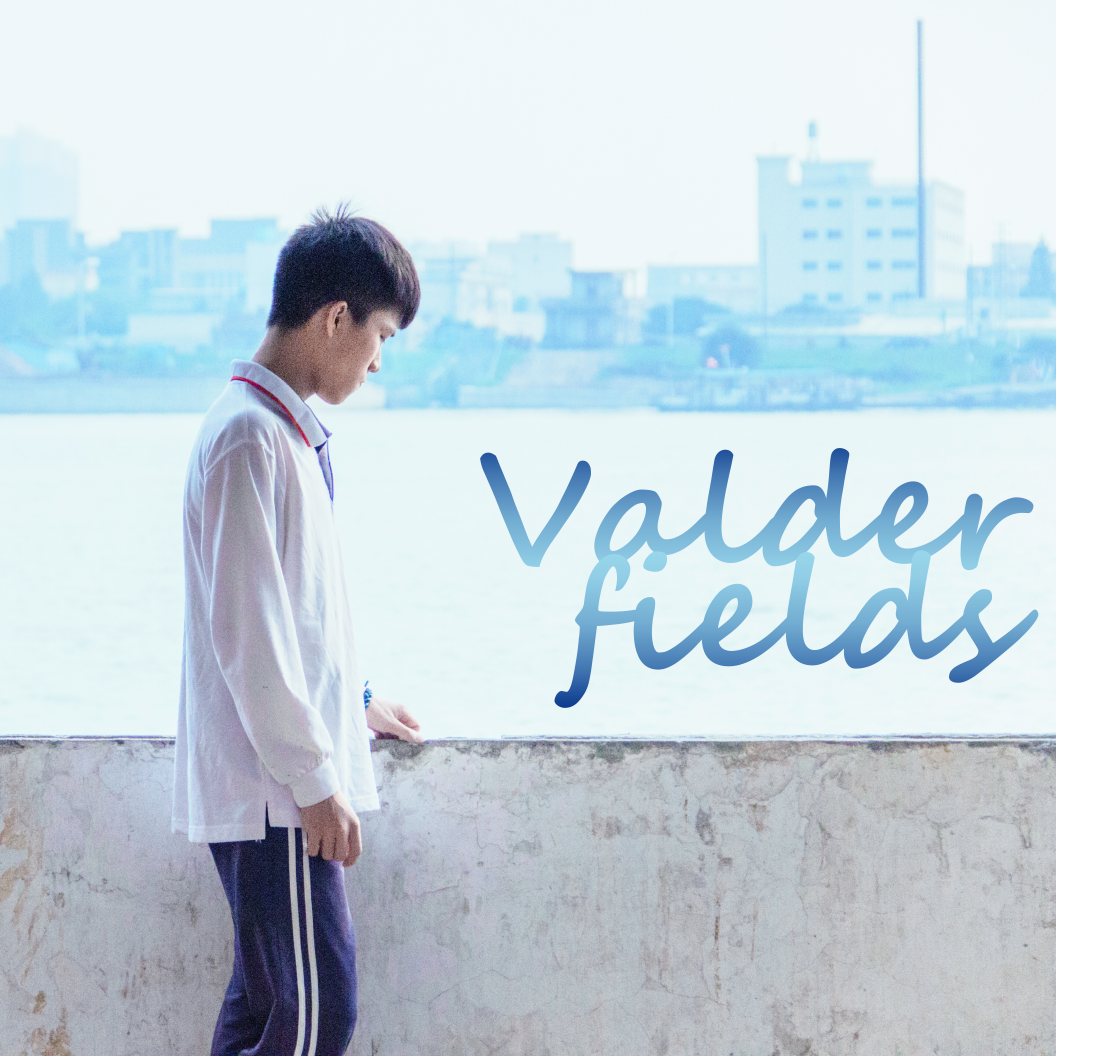 Valder fields