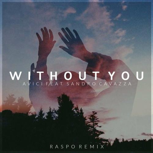Without You (Raspo Remix)