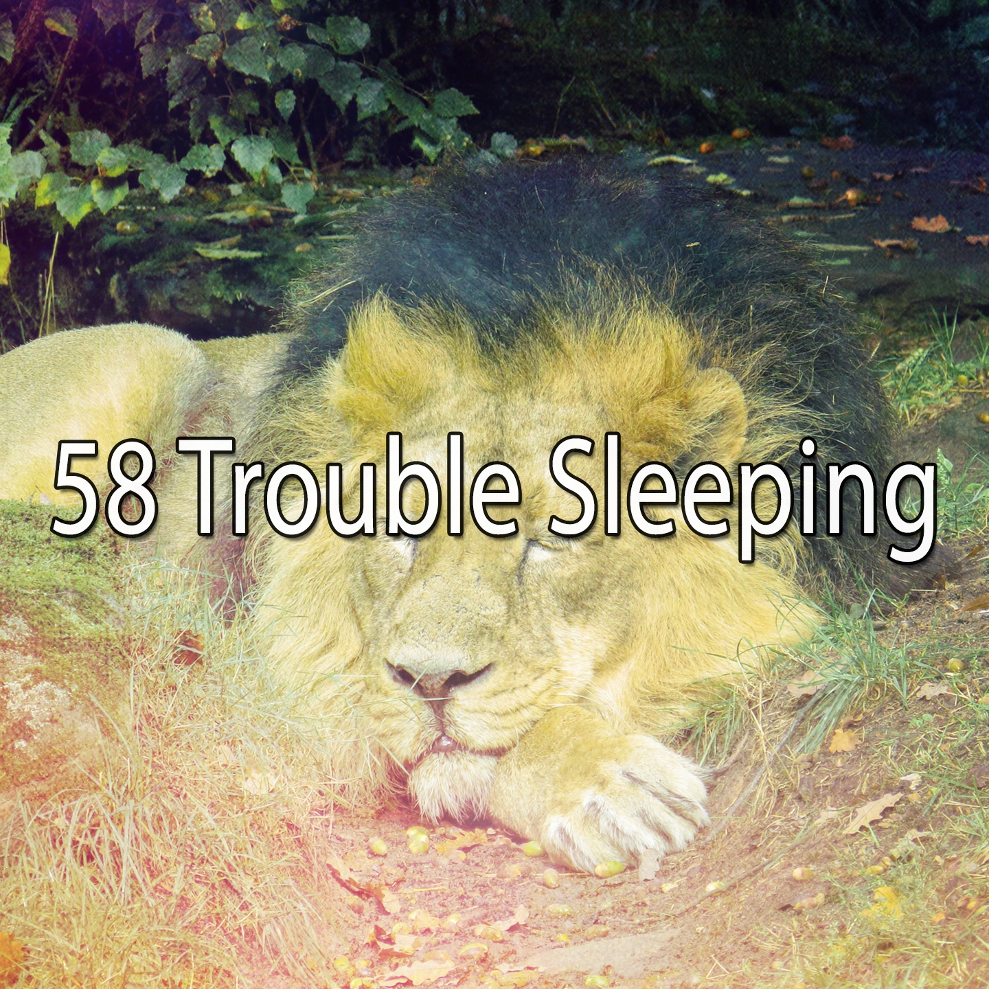 58 Trouble Sleeping