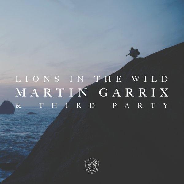 Lions In The Wild (Original Mix)