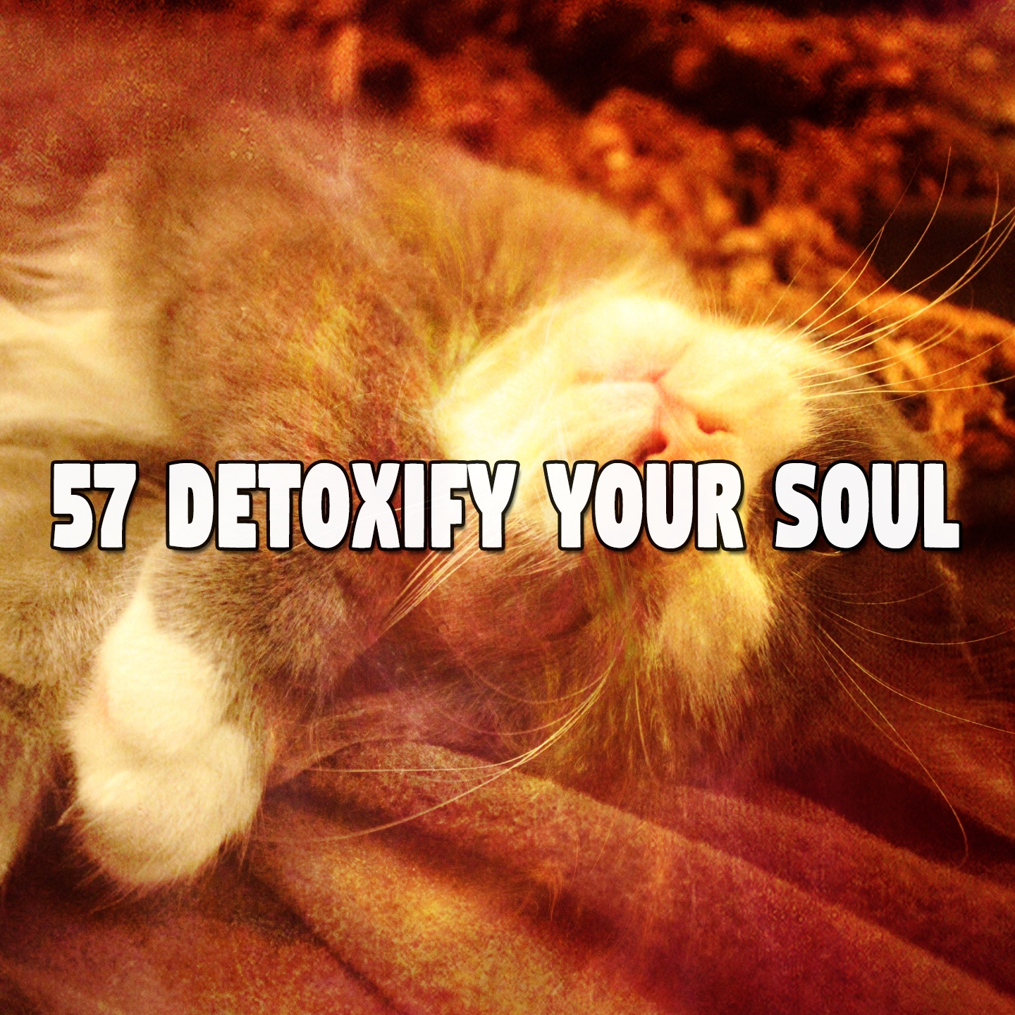57 Detoxify Your Soul