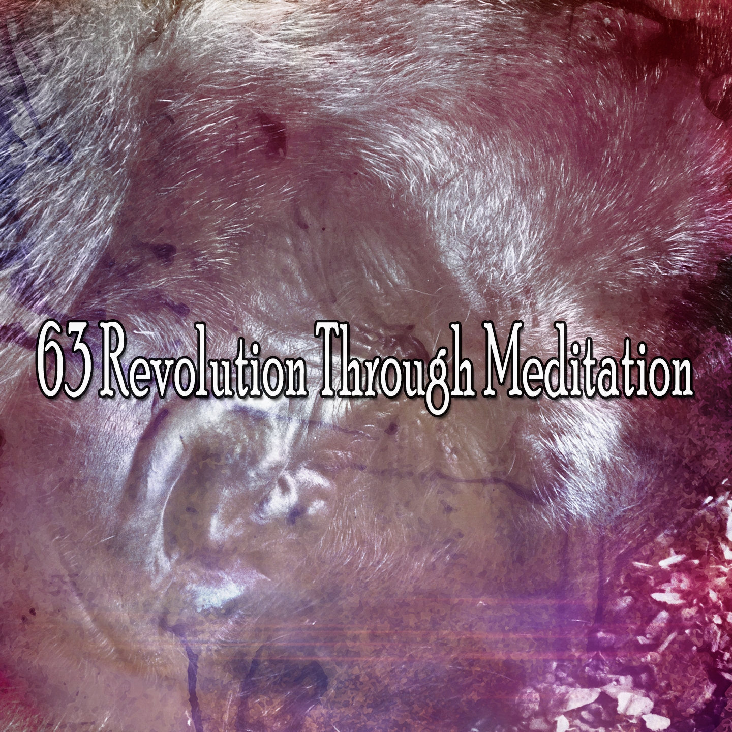 63 Revolution Through Meditation