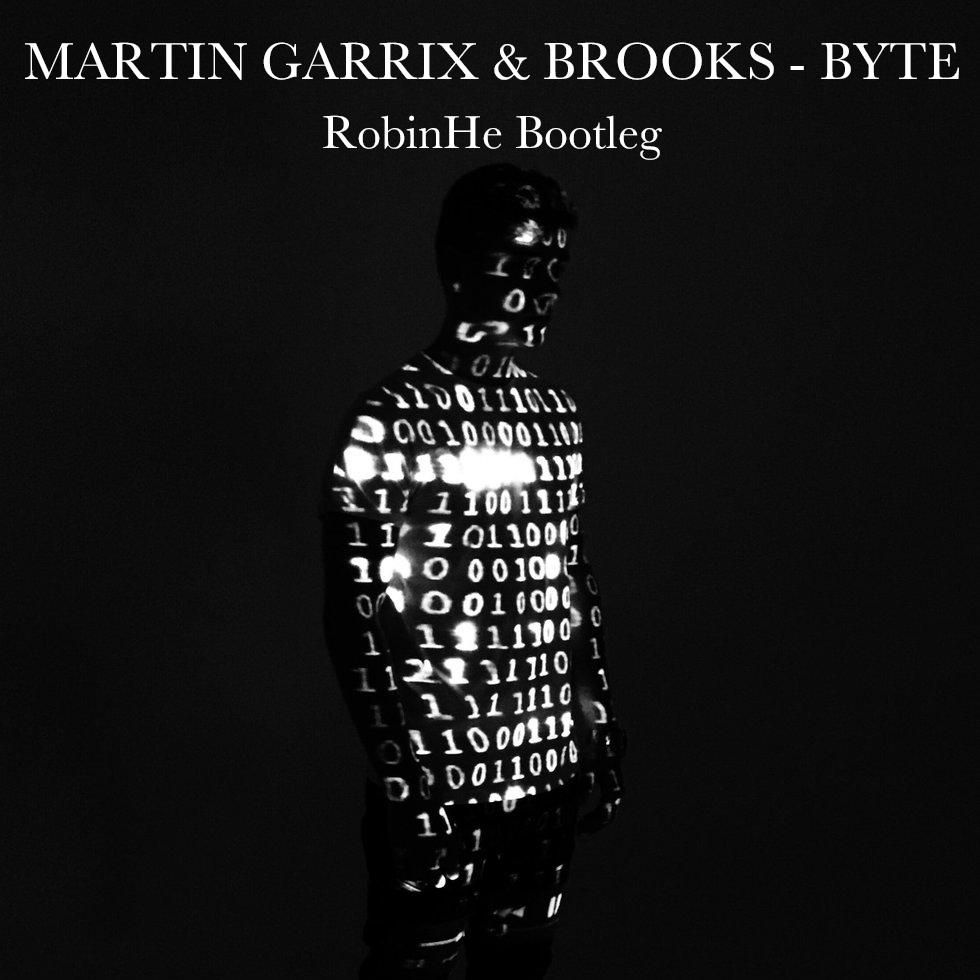 Martin Garrix  Brooks  CAREL  Byte  RobinHe  Bootleg