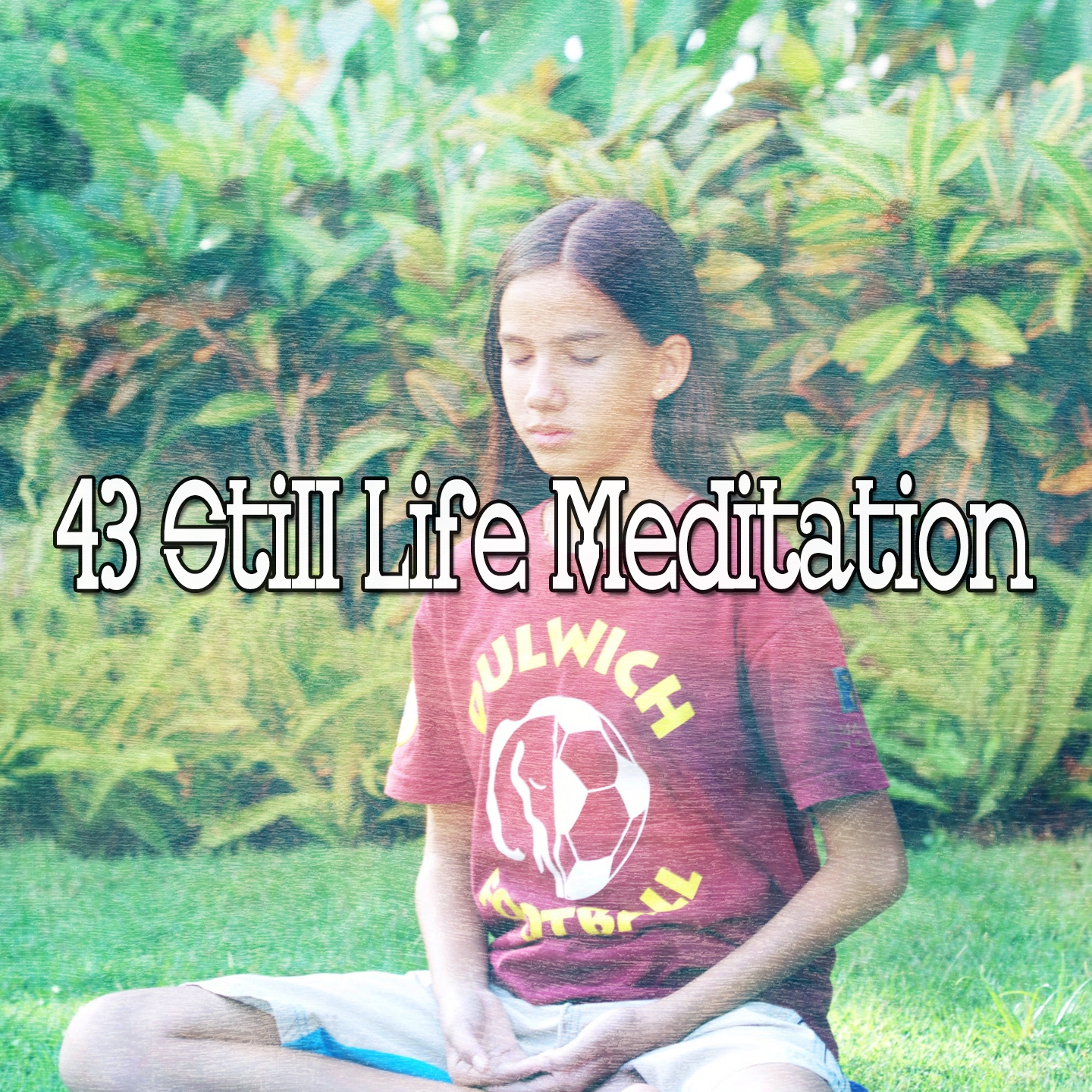 43 Still Life Meditation