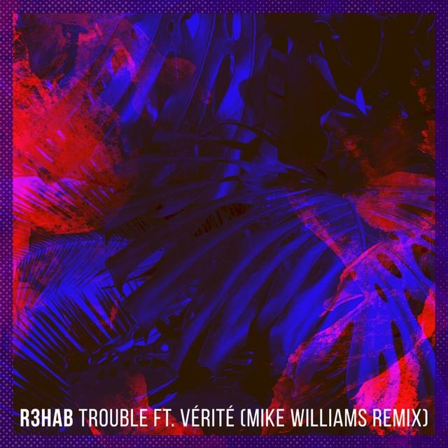Trouble (Mike Williams Extended Remix)
