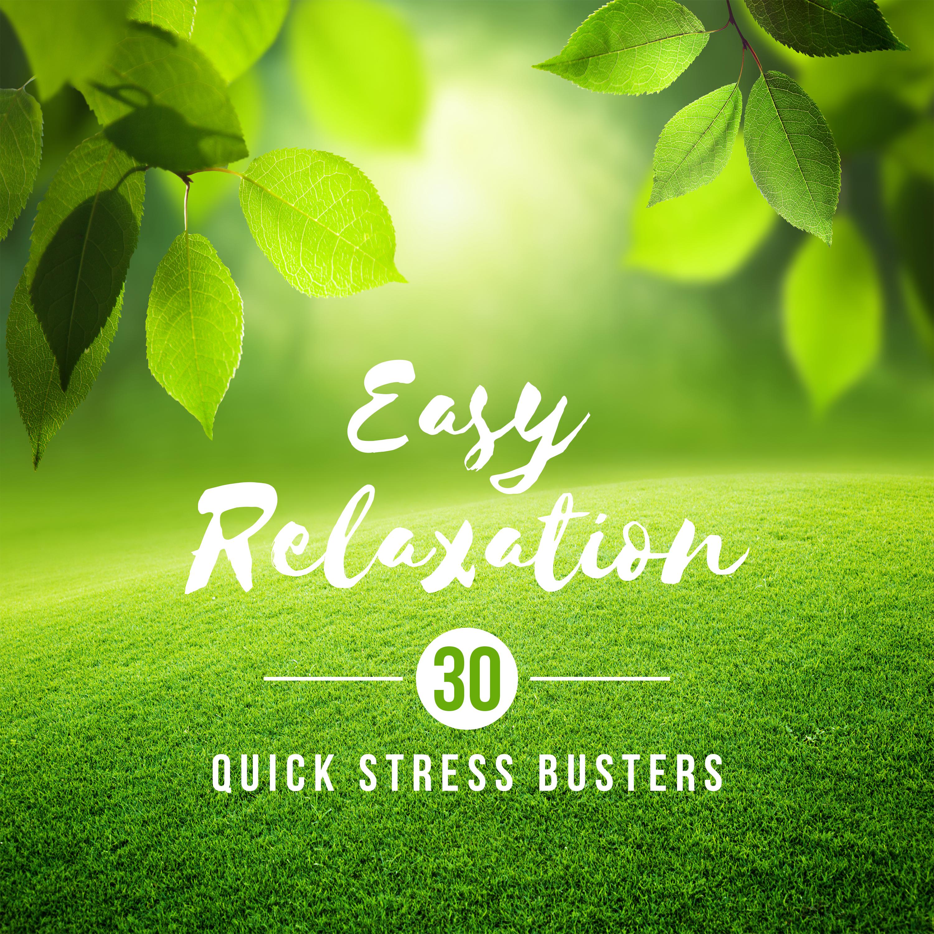 Easy Relaxation - 30 Quick Stress Busters to Feel Better Now, Cope with Stress, Relax Fast, The Ultimate Relief