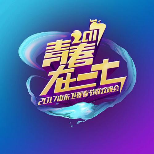 2017 shan dong wei shi chun jie lian huan wan hui