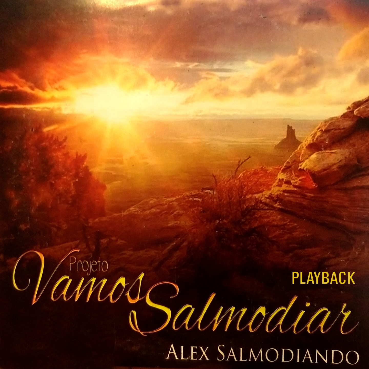 Projeto Vamos Salmodiar (Playback)