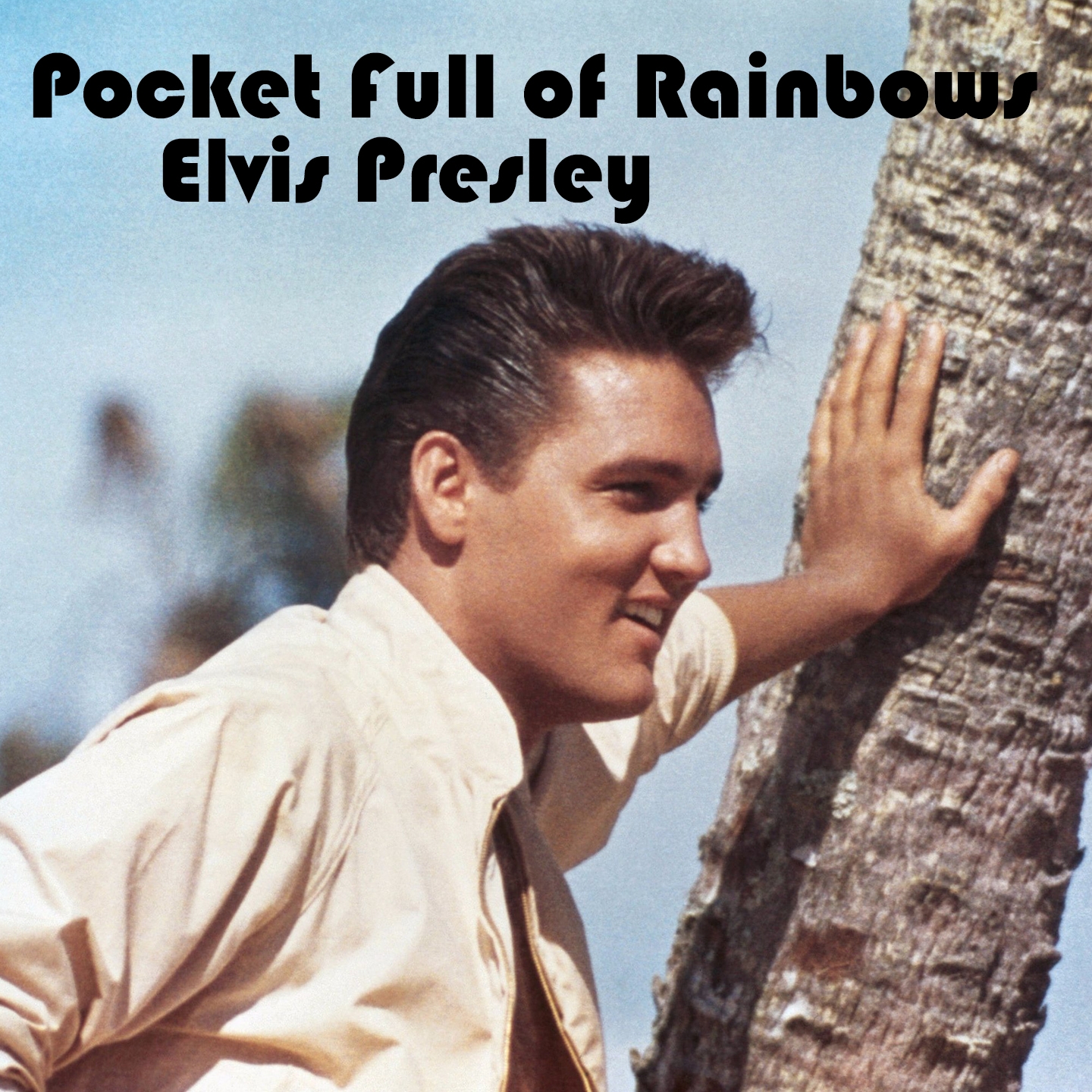 Pocket Full of Rainbows
