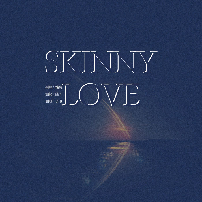 Skinny Love Cover