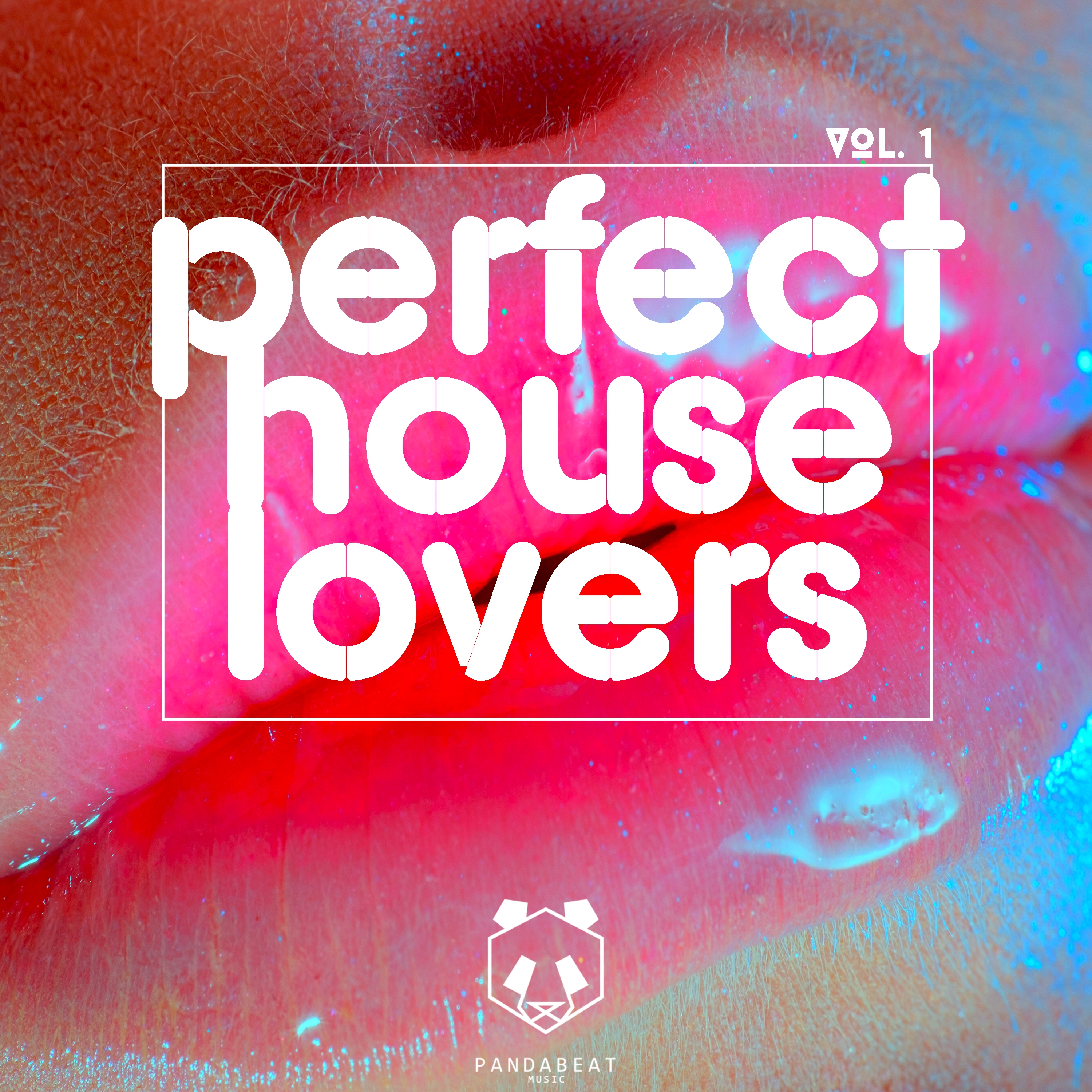 Perfect House Lovers, Vol. 1