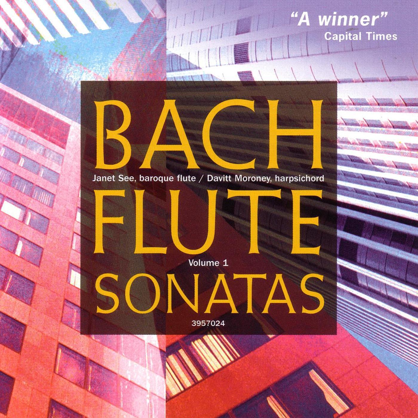 Sonata in B Minor, BWV 1030: I. Andante