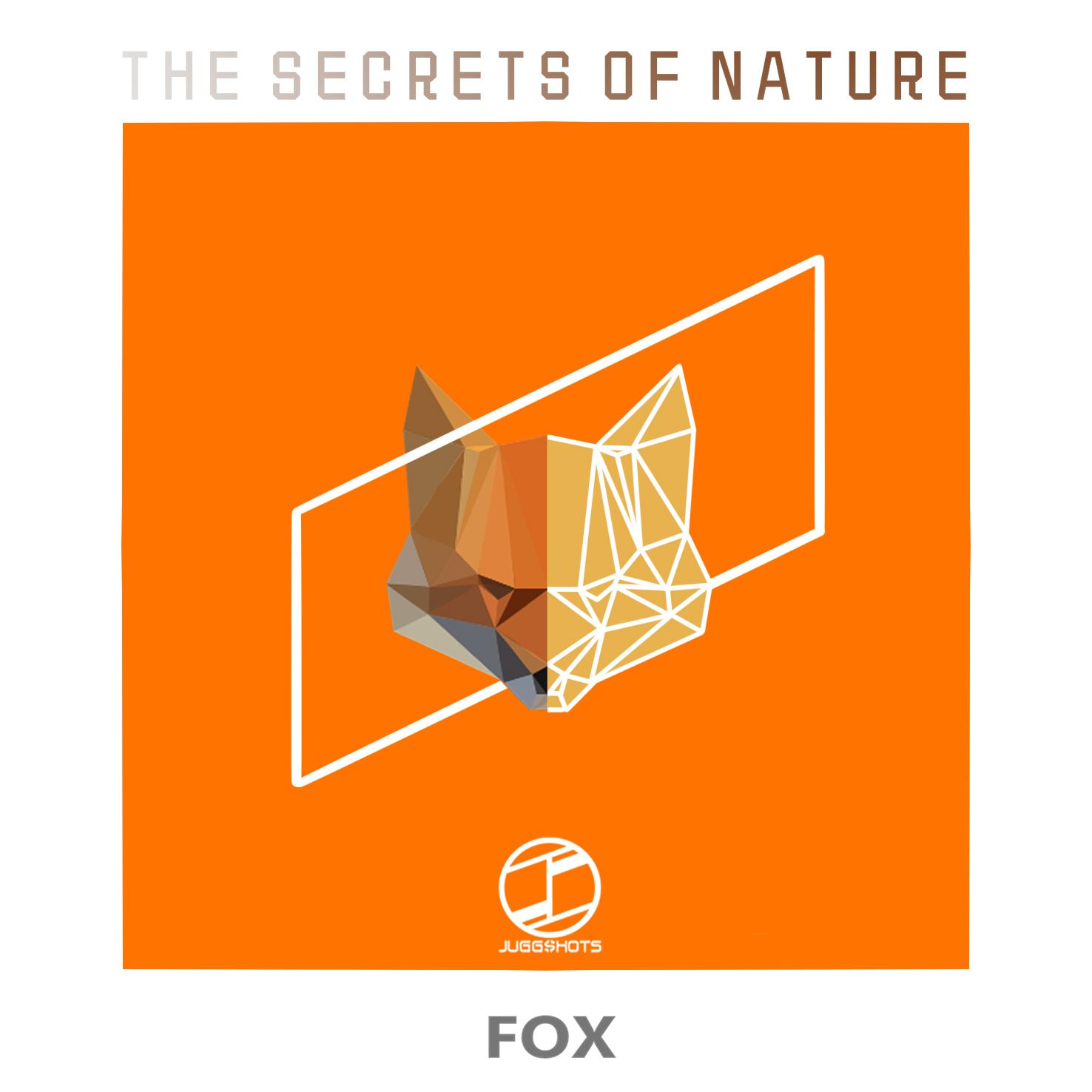 Fox Original  Mix