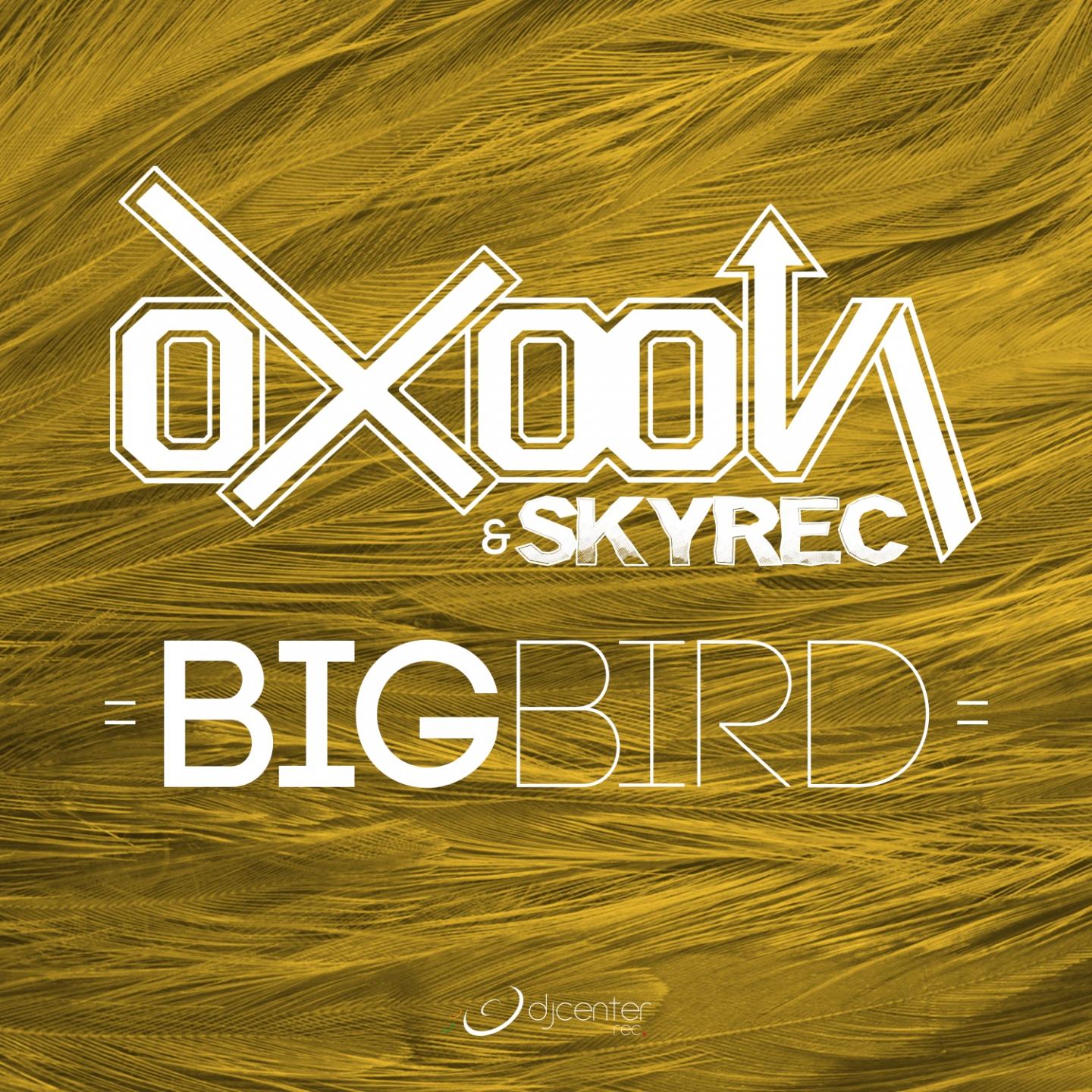 BigBird (Radio Edit)