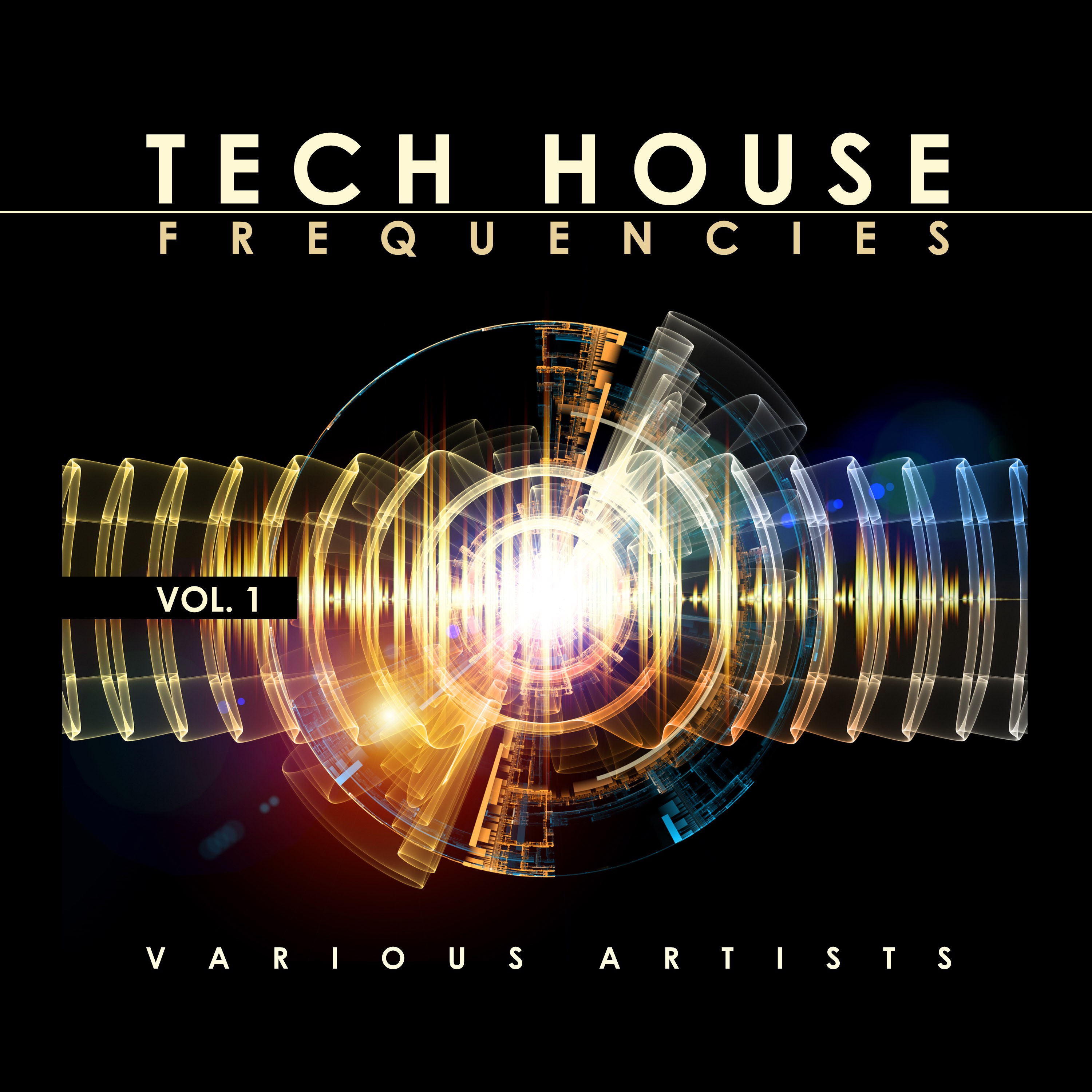 Tech House Frequencies, Vol. 1
