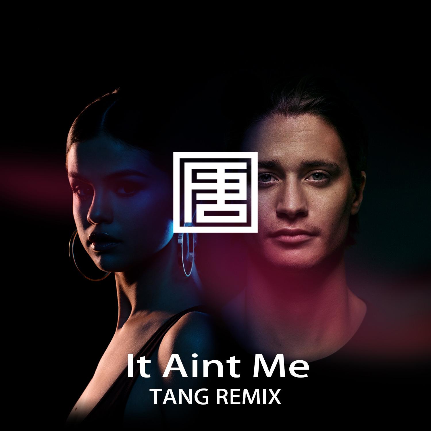 Kygo  It  Aint  Me TANG  tang  Remix