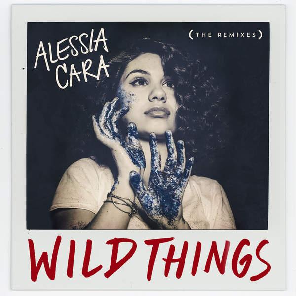 Wild Things (Remix)