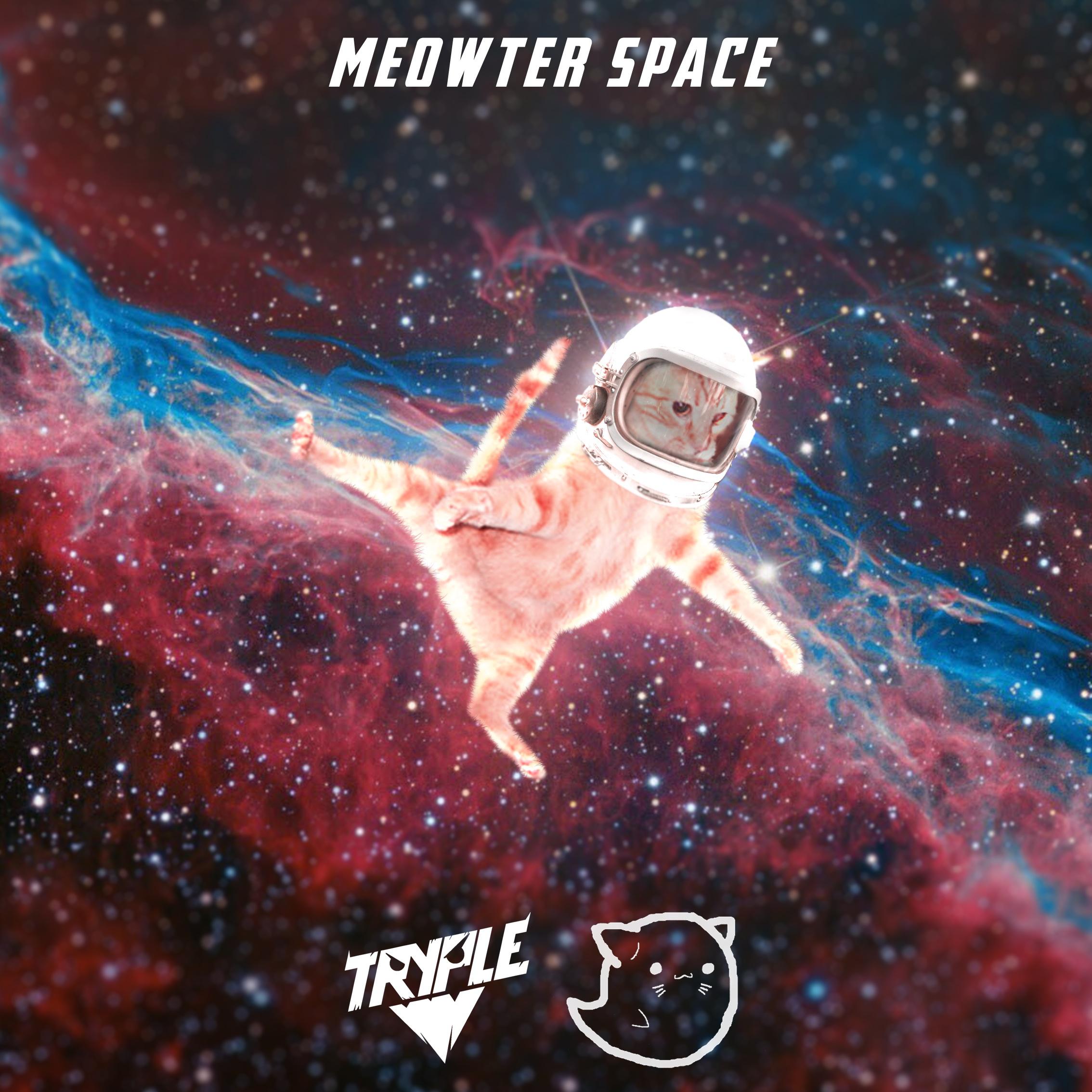 Meowter Space