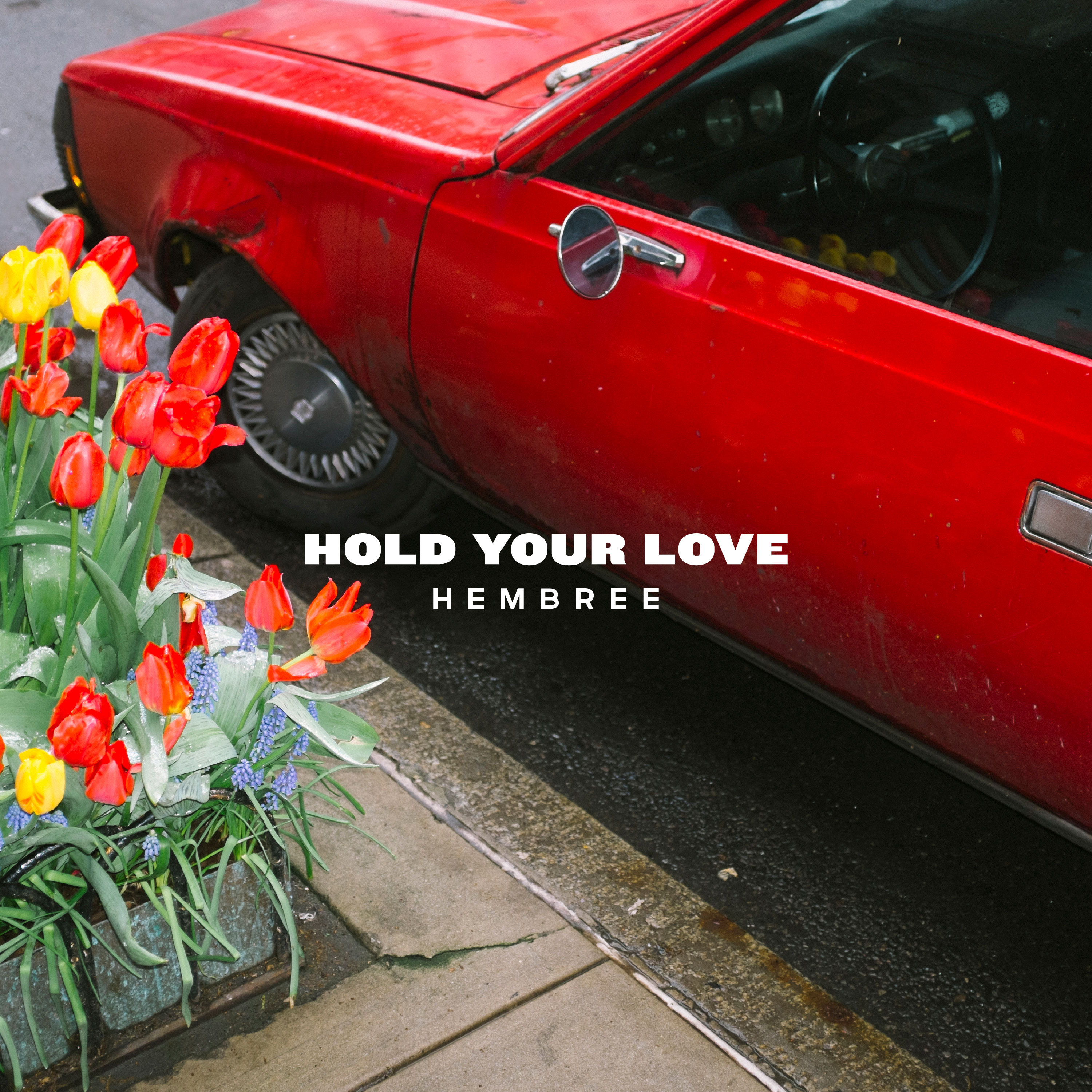 Hold Your Love