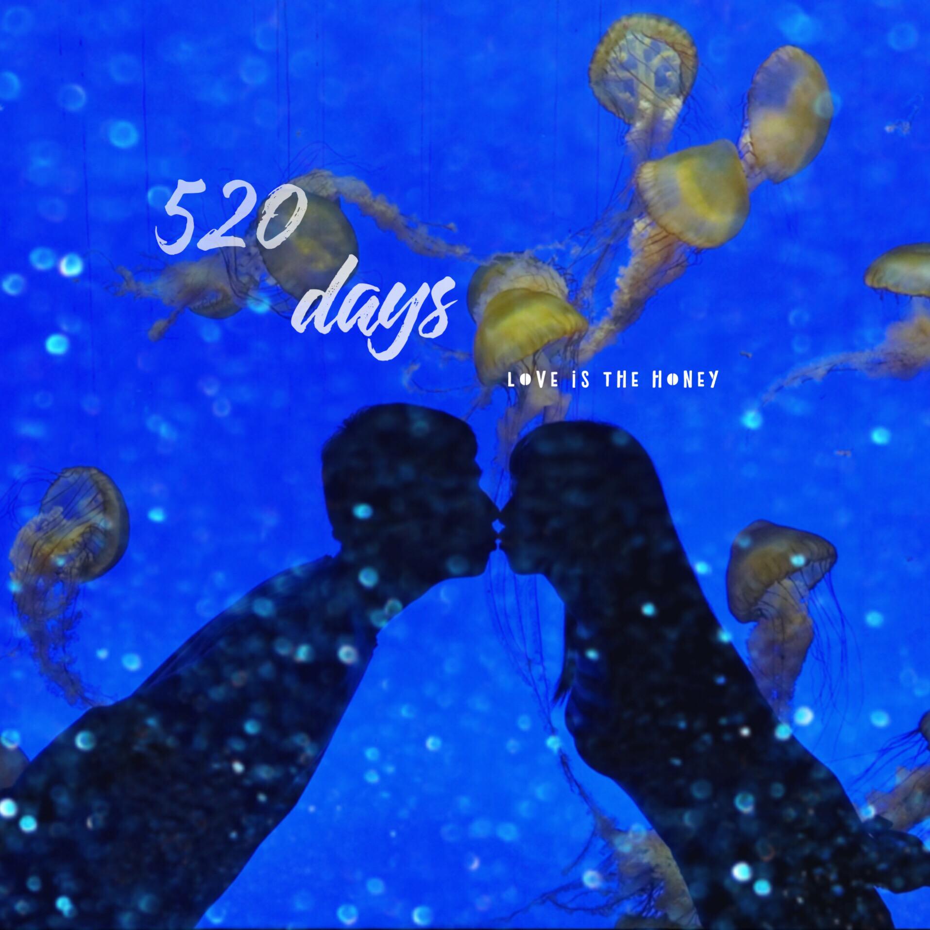 520  days