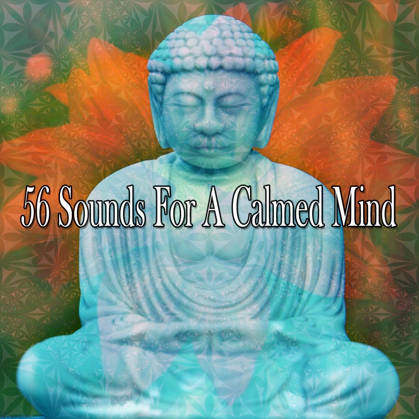 56 Sounds For A Calmed Mind
