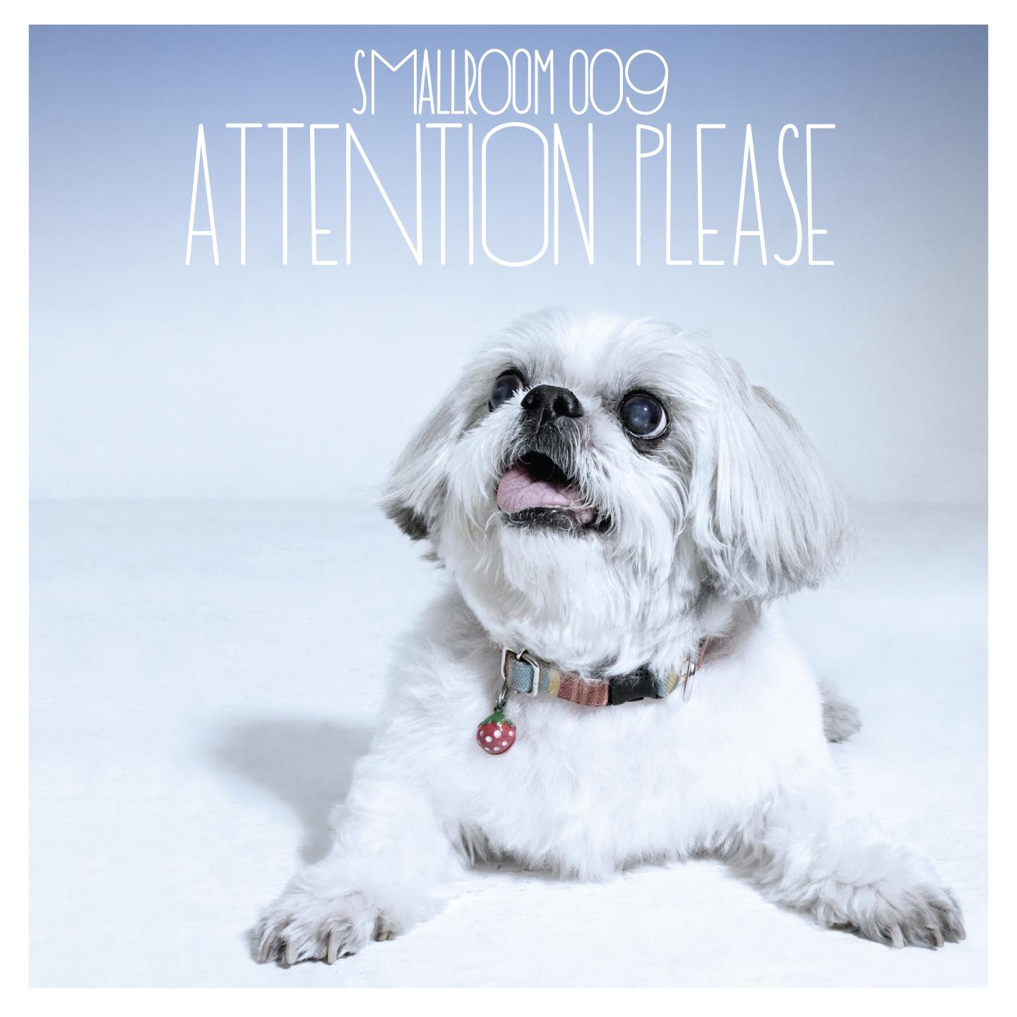 Smallroom 009 - Attention Please