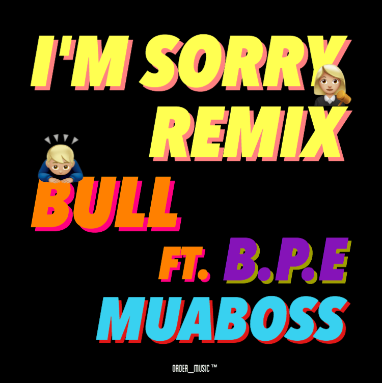 i' m  sorry  Remix