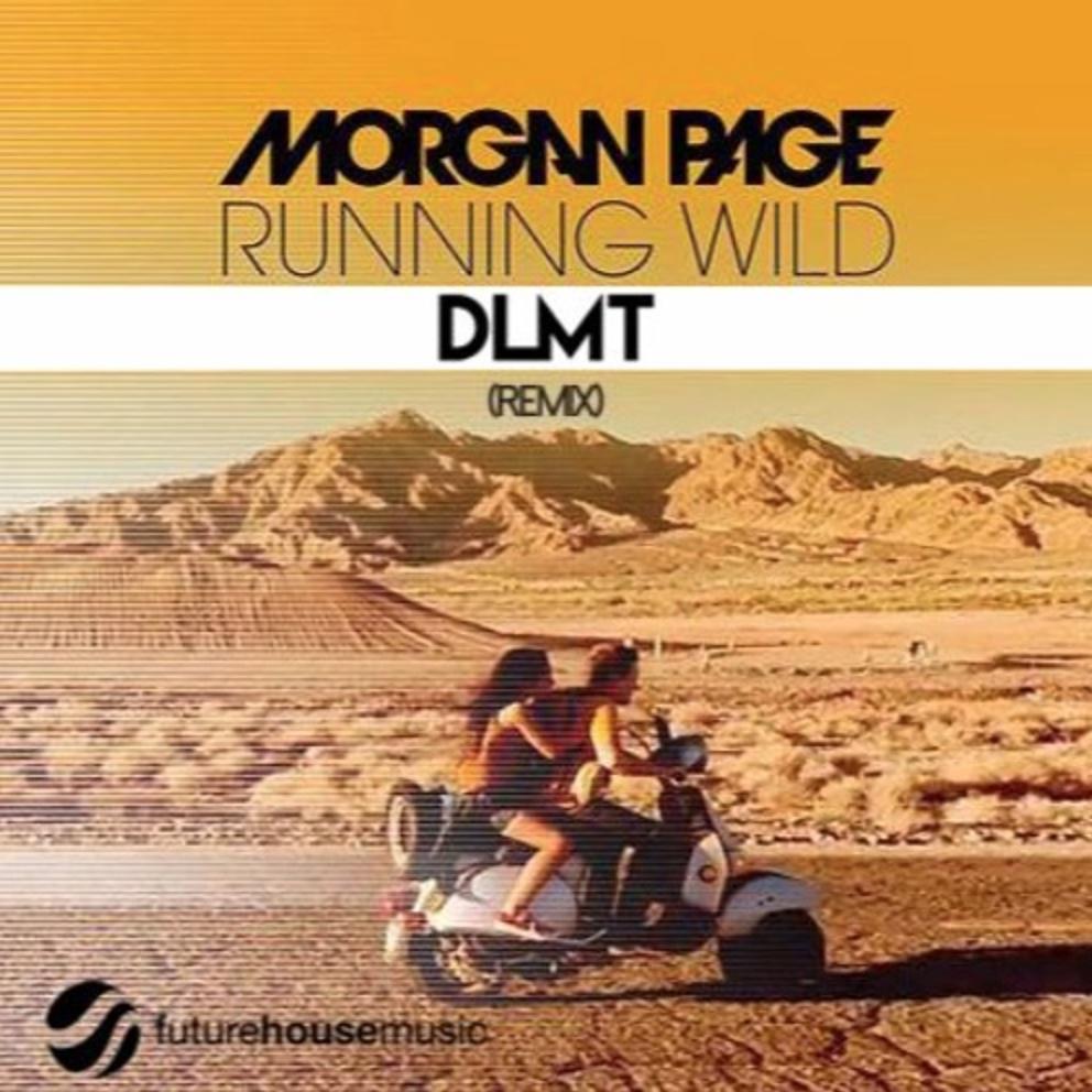 Running Wild (DLMT remix)