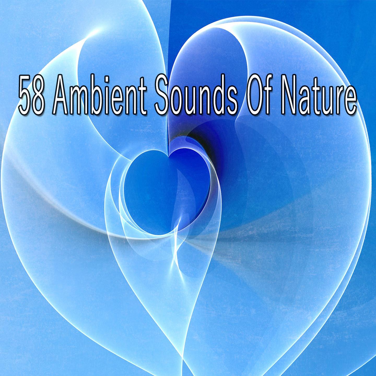 58 Ambient Sounds Of Nature