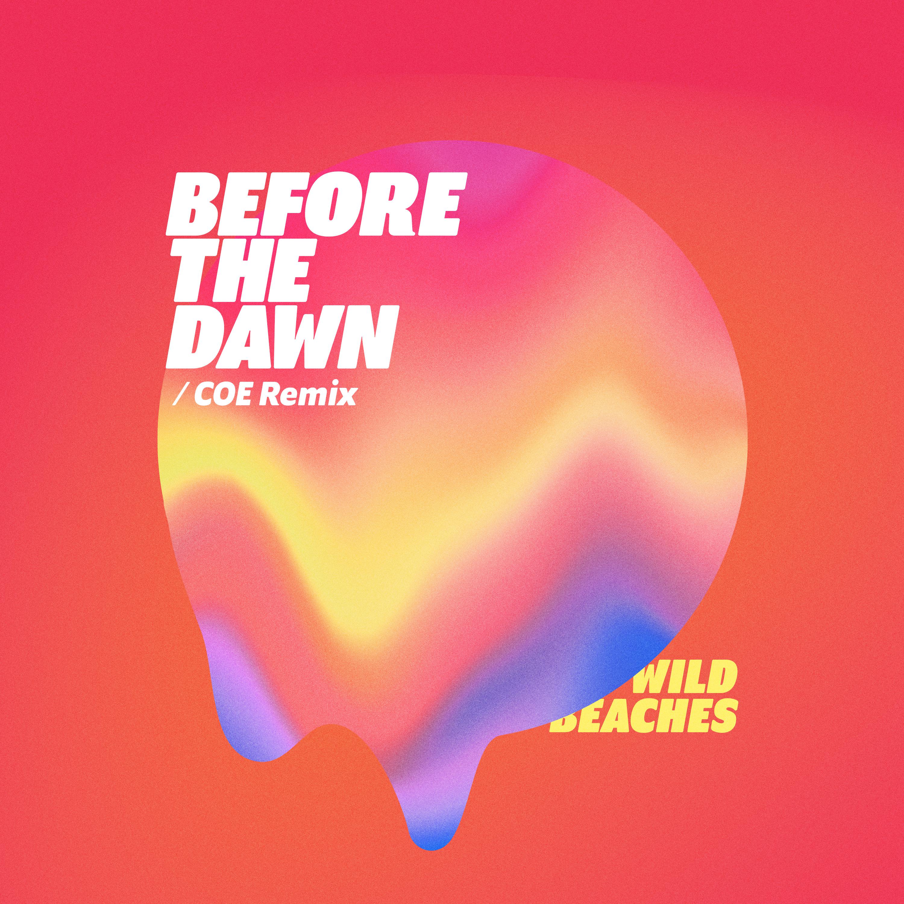 Before The Dawn (COE Remix)