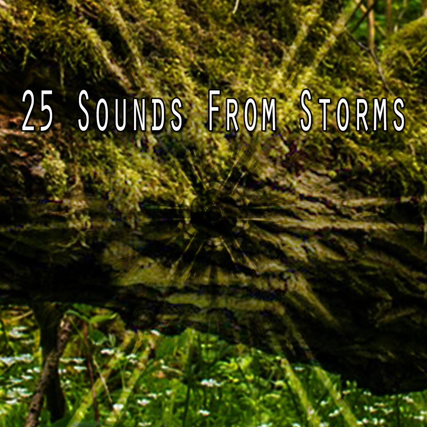 25 Sounds From Storms