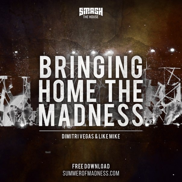 Bringing Home The Madness (Original Mix)
