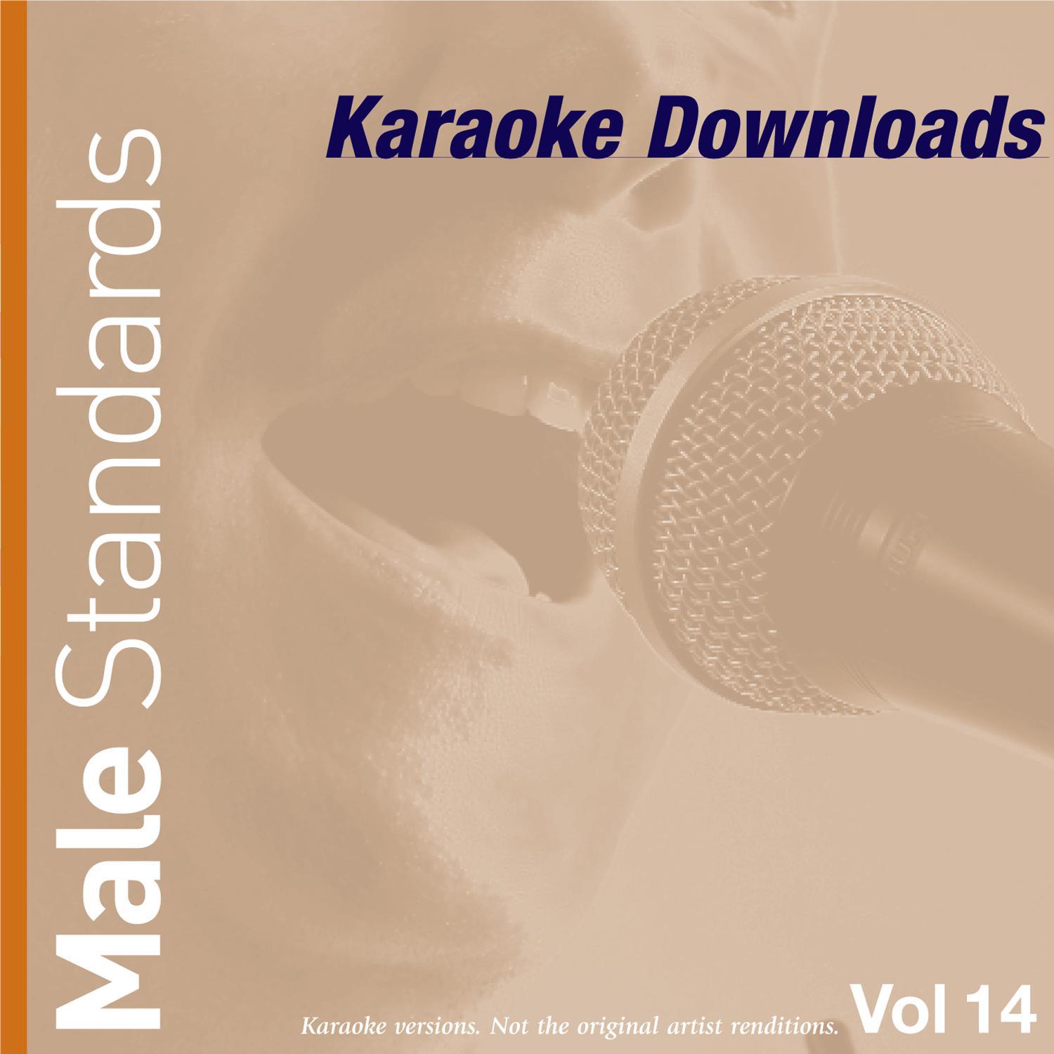 Karaoke Downloads - Male Standards Vol.14