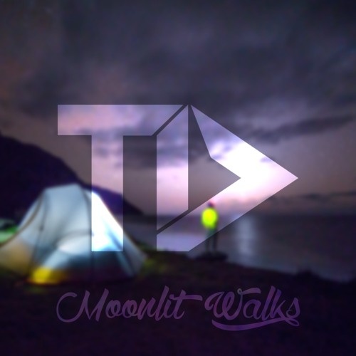 Moonlit Walks