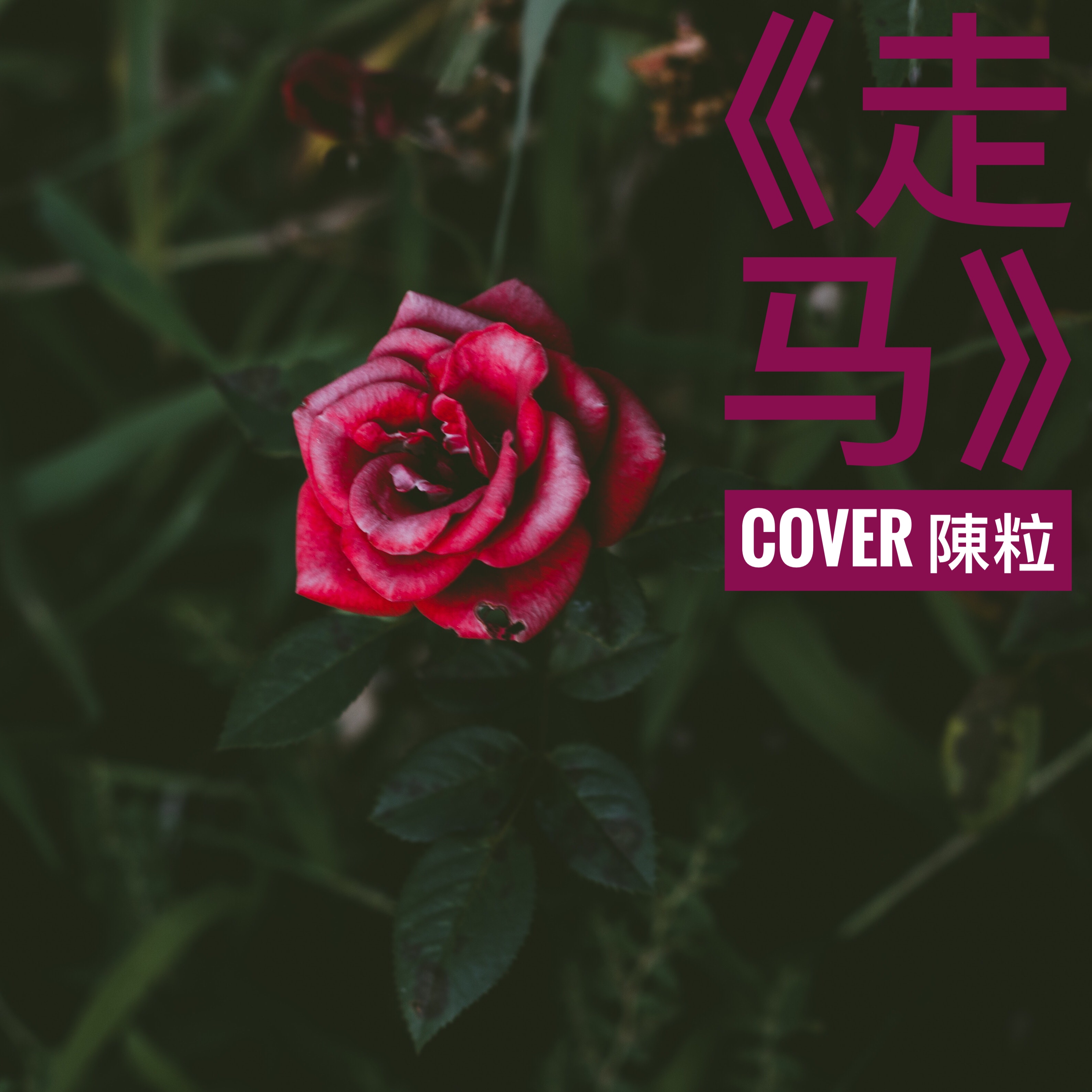 zou ma Cover: chen li