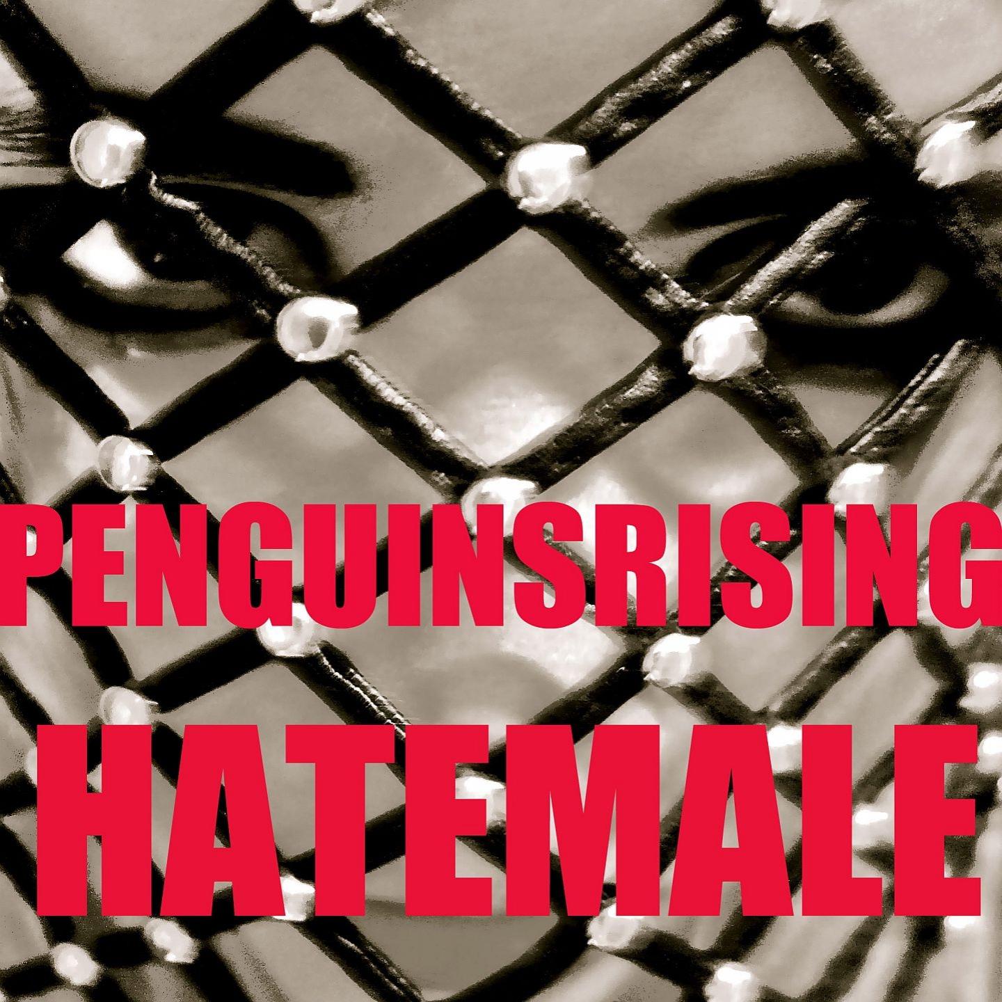 Hatemale (PENGUINSRISING Remix)