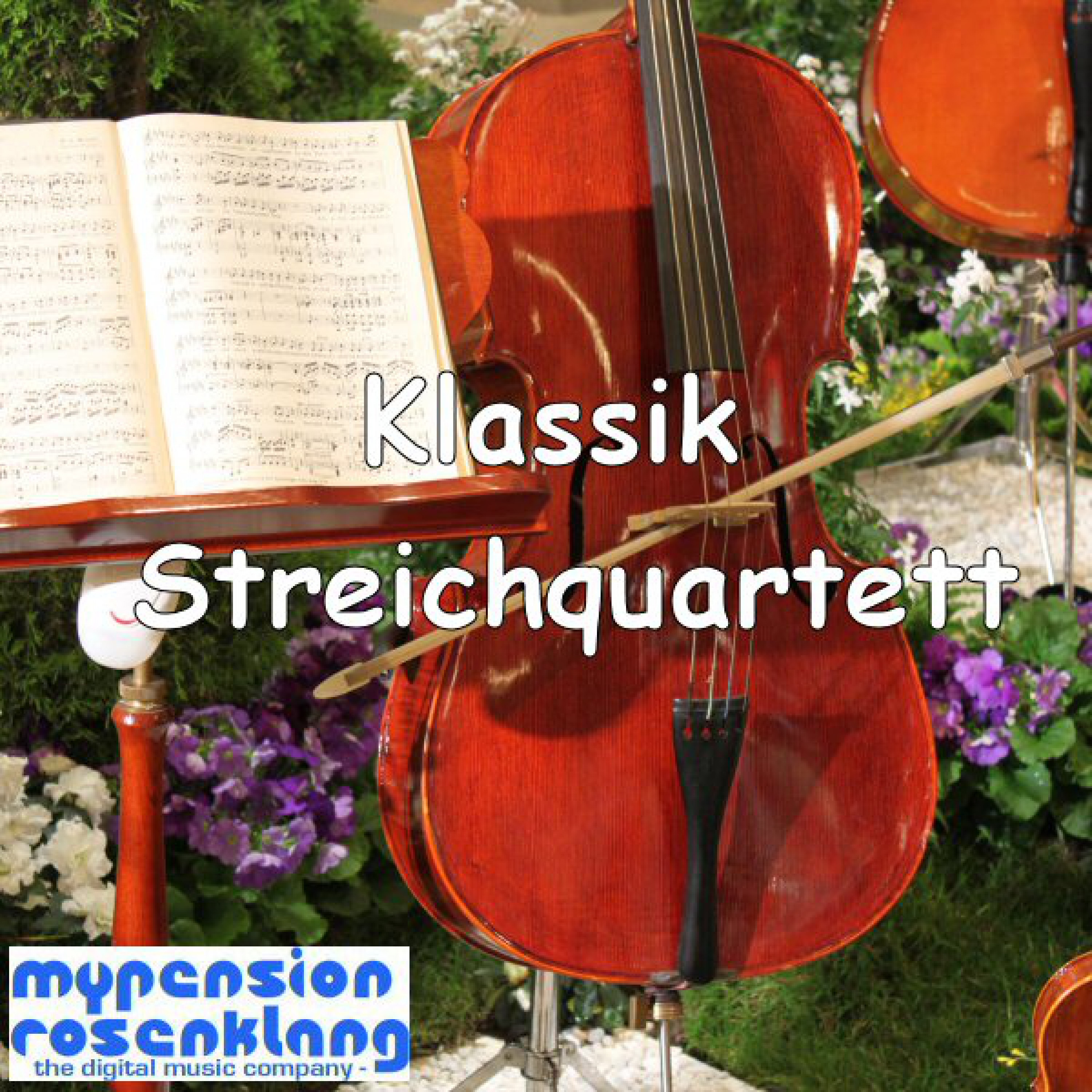 Classical String Quartet